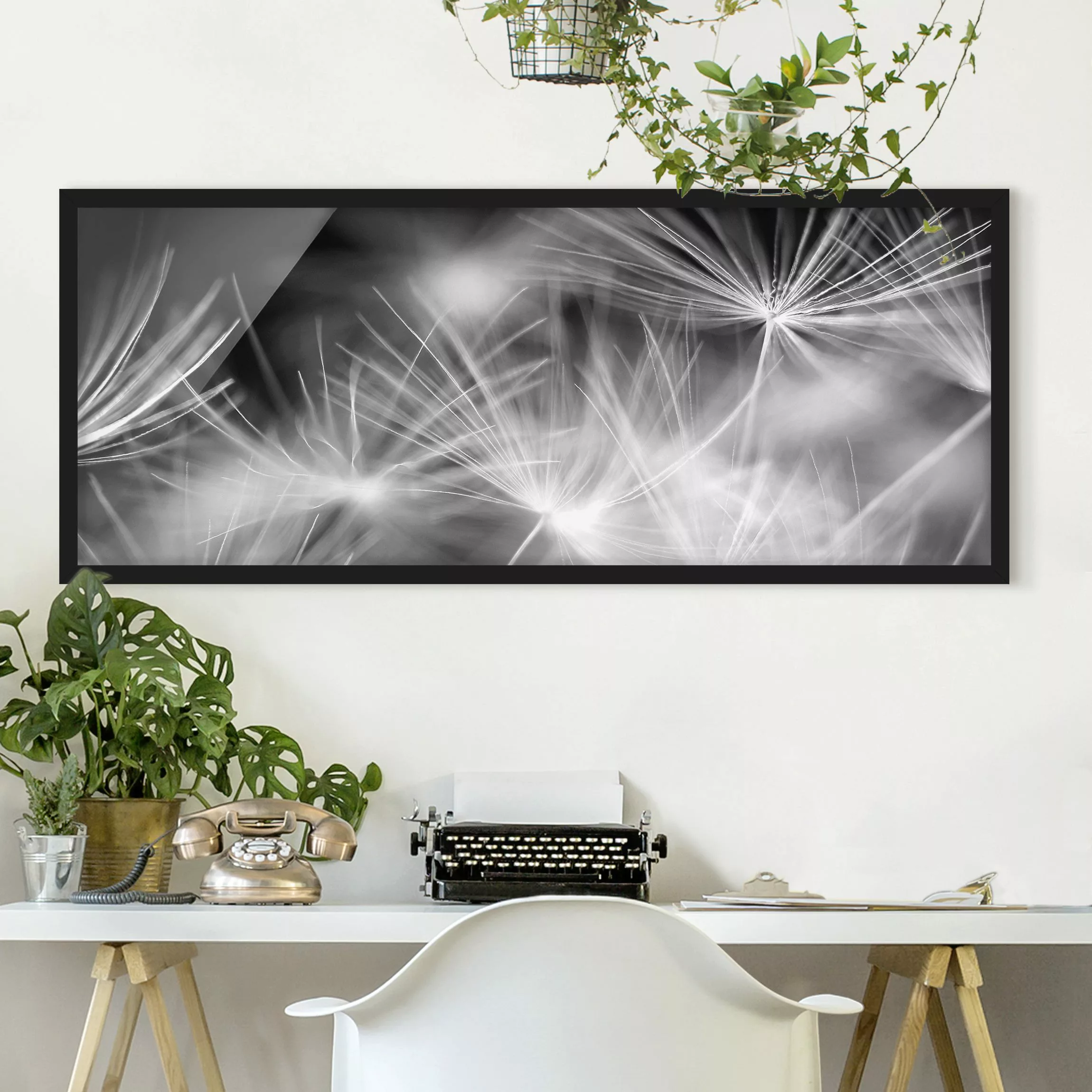 Bild mit Rahmen Blumen - Panorama Bewegte Pusteblumen Nahaufnahme auf schwa günstig online kaufen