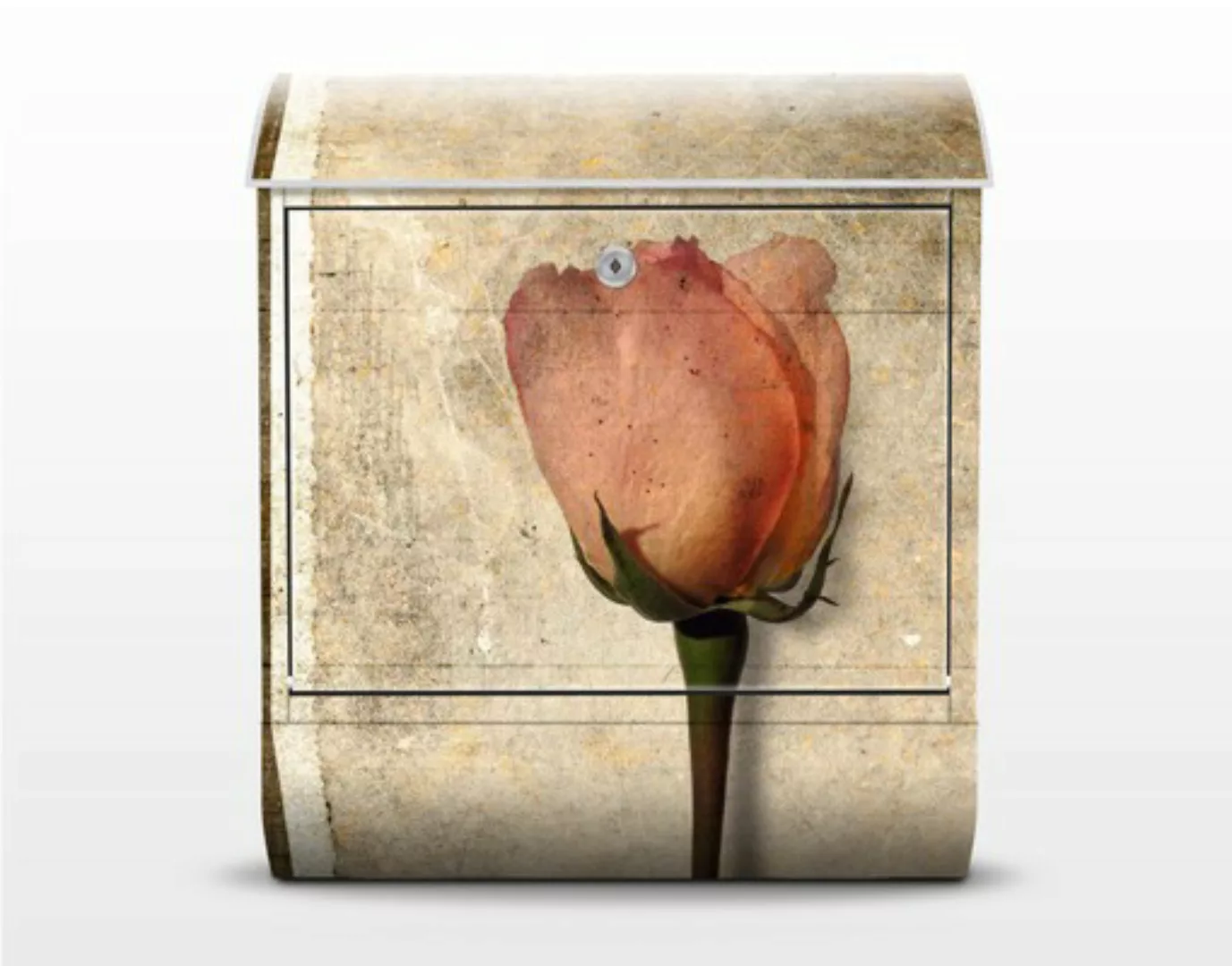 Briefkasten Blumen Inner Rose günstig online kaufen