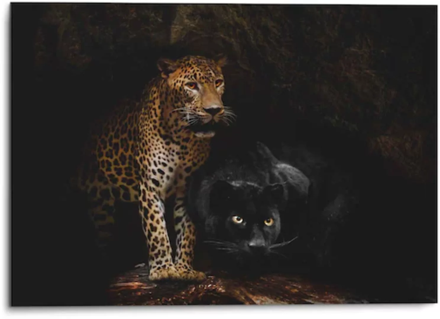 Reinders! Wandbild »Aluminium Wandbild Raubtiere Panther - Cougar - Katzen günstig online kaufen