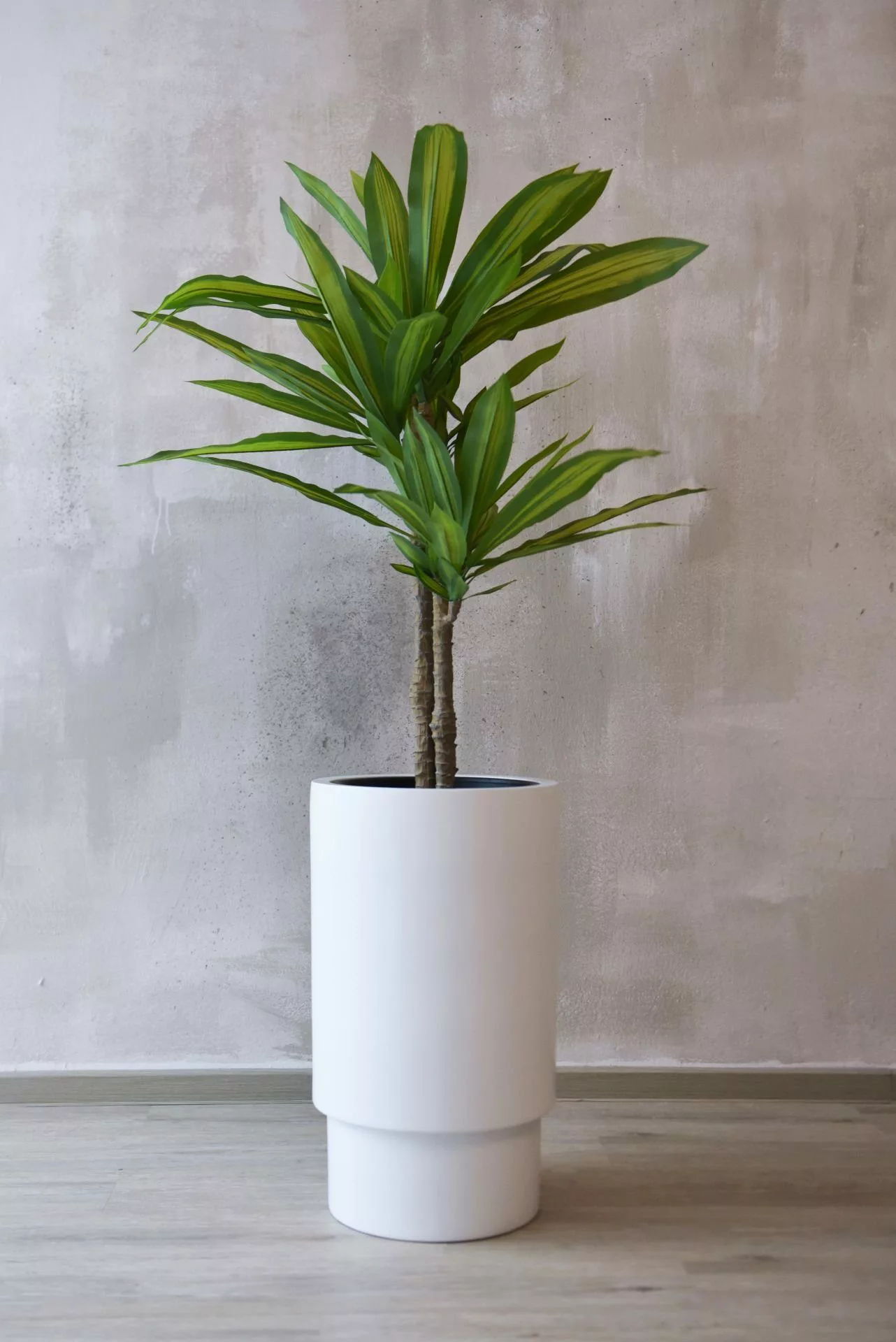 VIVANNO Blumentopf Fiberglas ESCADA Rund - günstig online kaufen