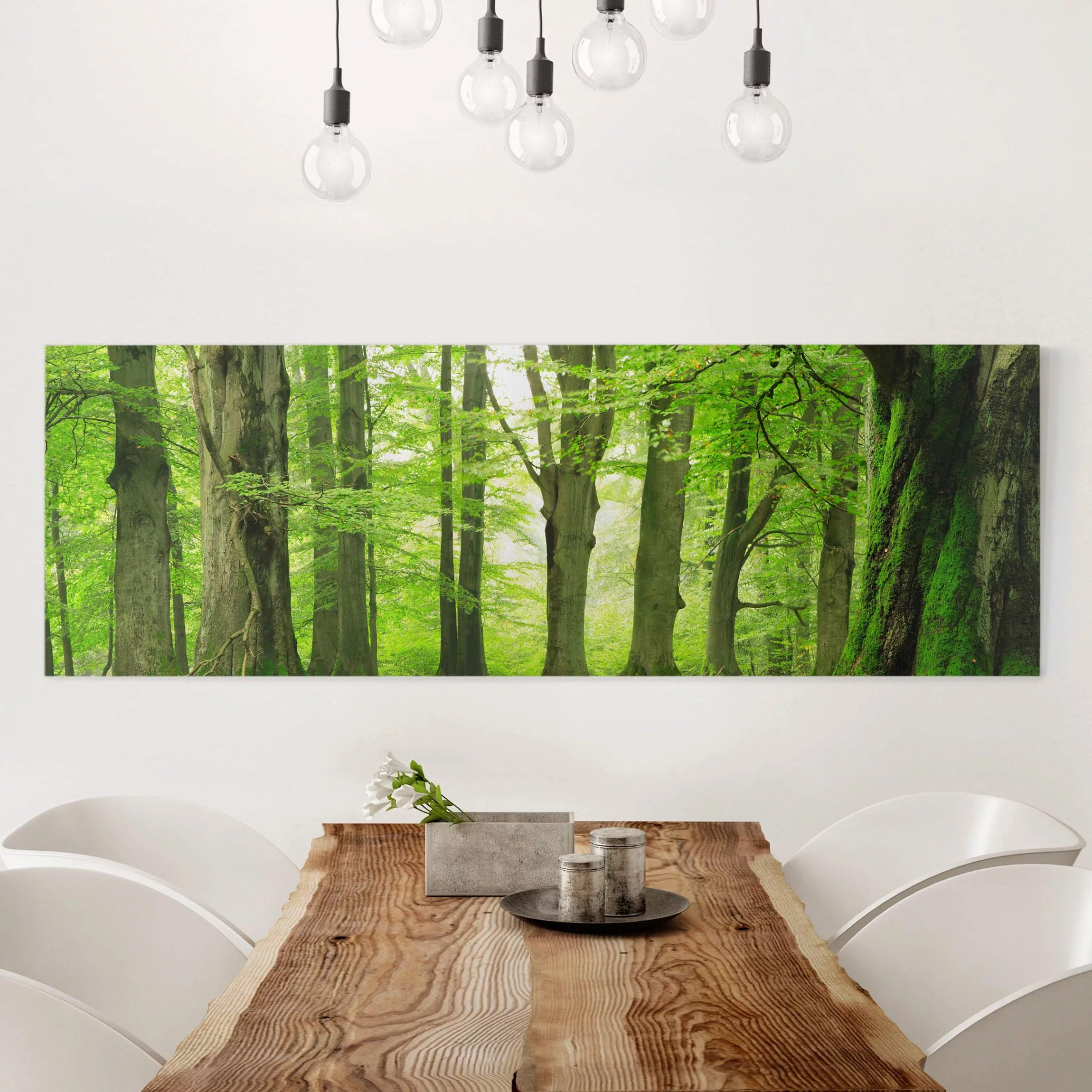 Leinwandbild Wald - Panorama Mighty Beech Trees günstig online kaufen