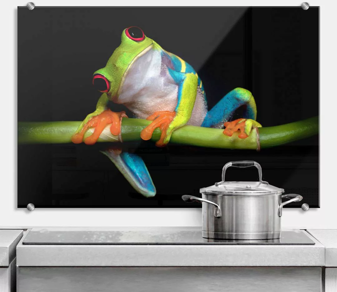 Wall-Art Küchenrückwand »Spritzschutz Frisch Green Frog«, (1 tlg.), Herd Wa günstig online kaufen