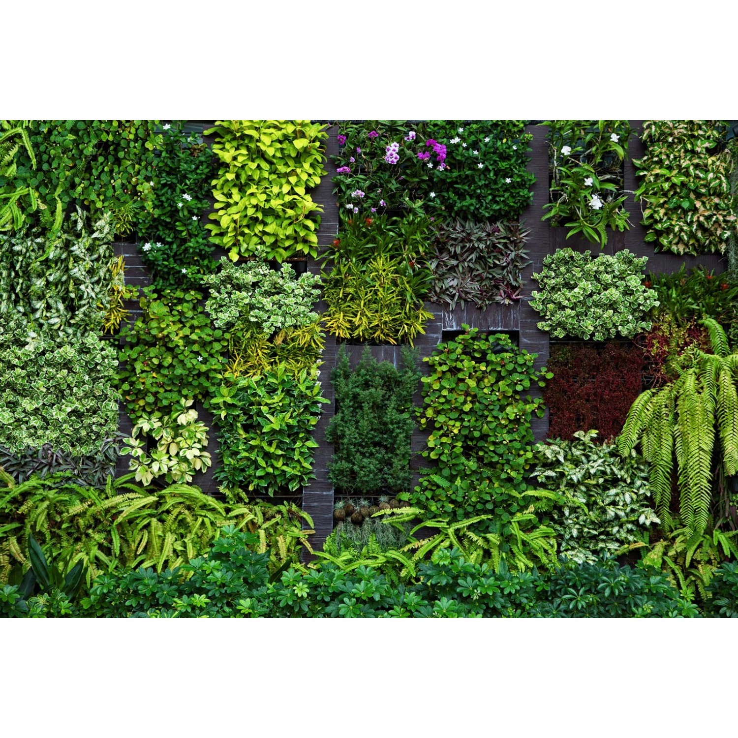 Bricoflor Grüne Fototapete Blick in Den Garten Pflanzen Tapete in 3D Optik günstig online kaufen