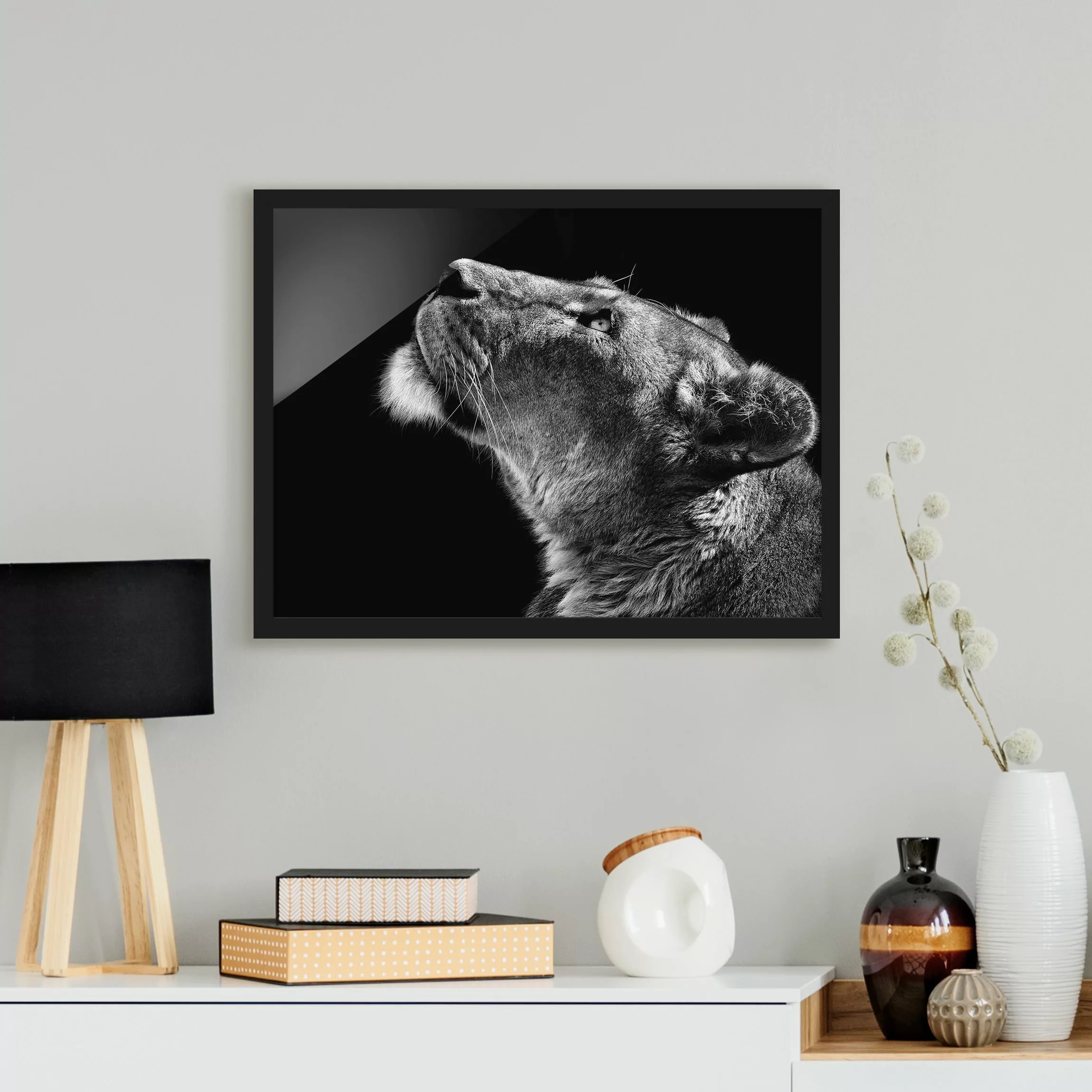 Bild mit Rahmen Tiere - Querformat Portrait einer Löwin günstig online kaufen
