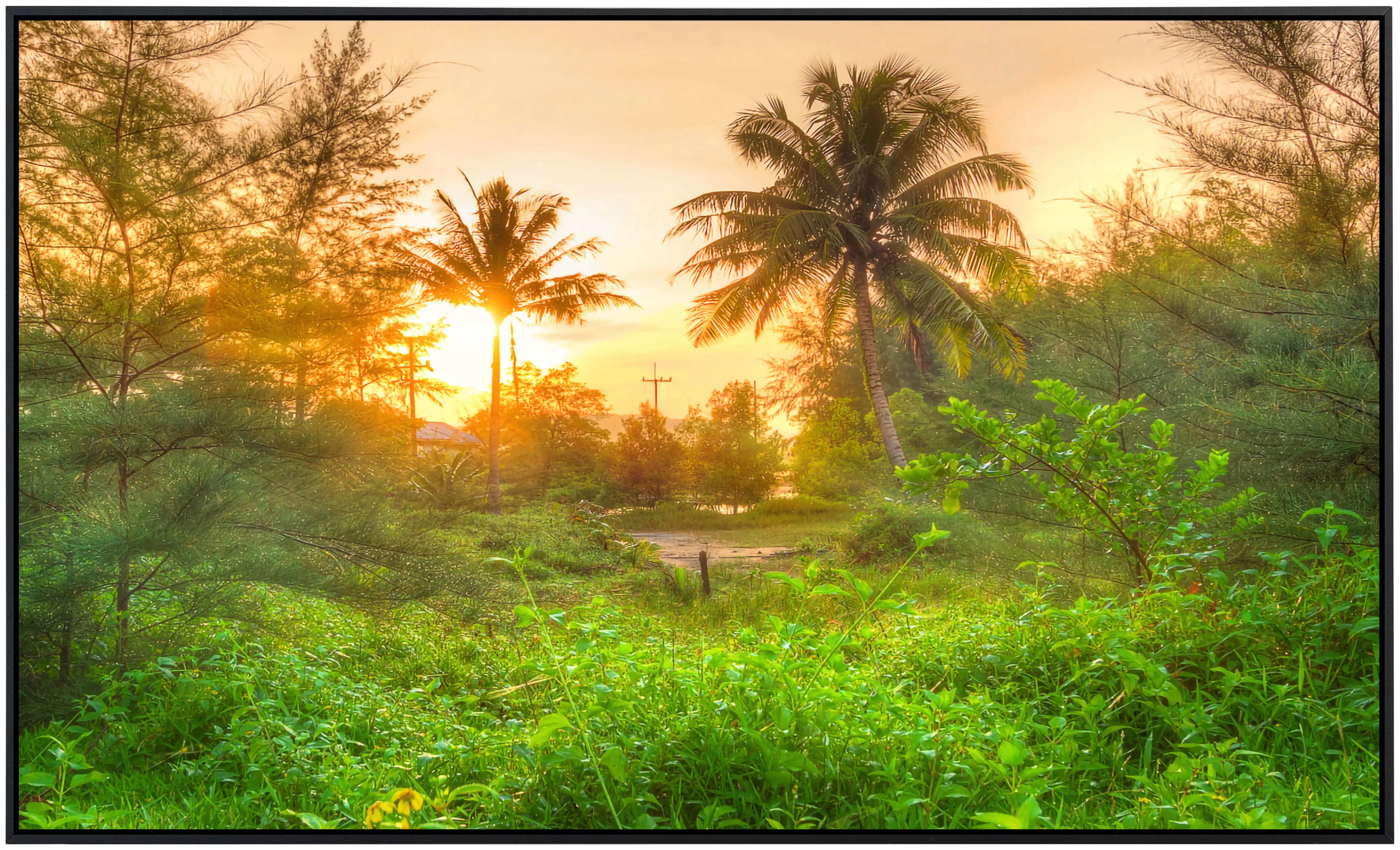 Papermoon Infrarotheizung »Erstaunlicher Dschungel Sonnenaufgang«, sehr ang günstig online kaufen