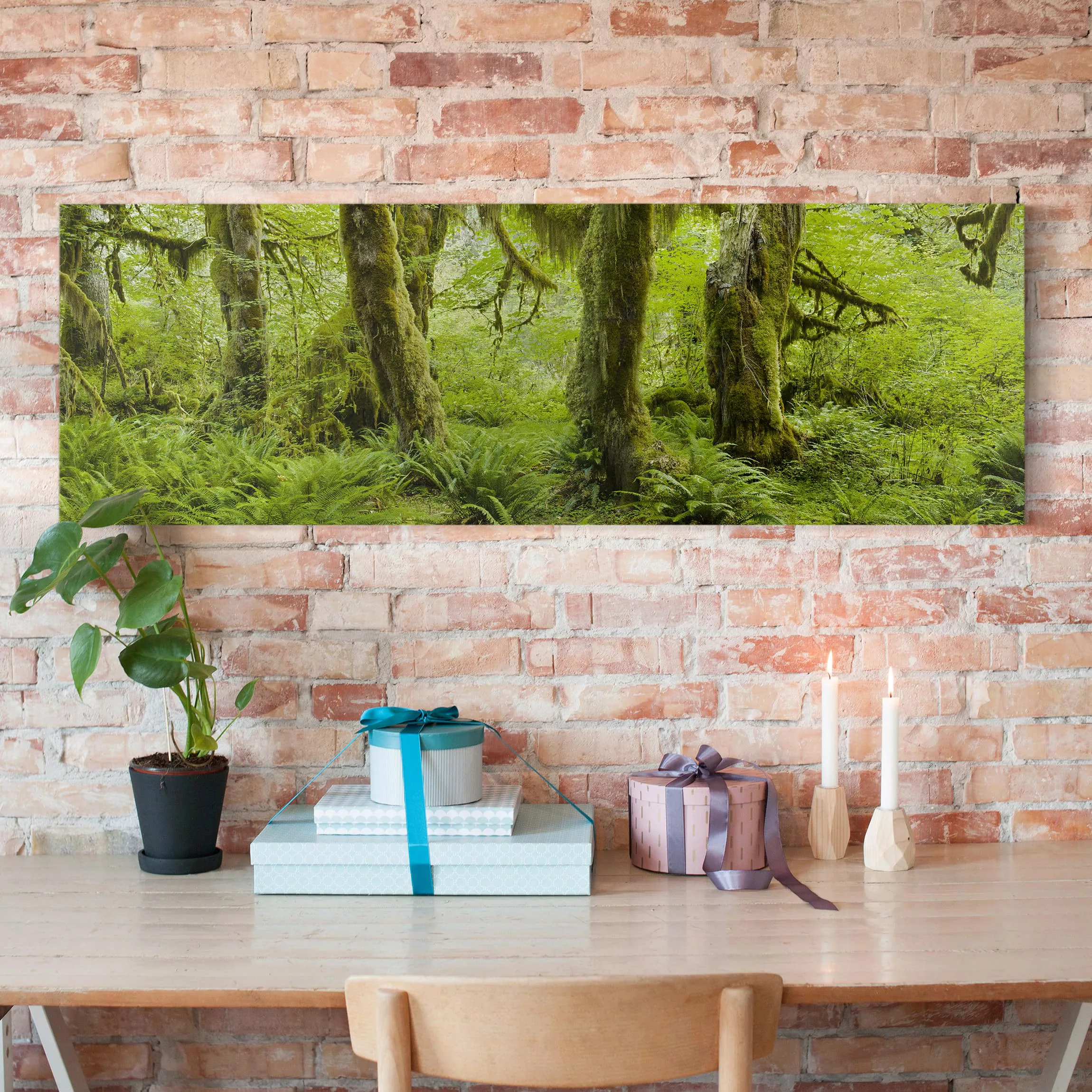 Leinwandbild Wald - Panorama Hall of Mosses Olympic National Park günstig online kaufen