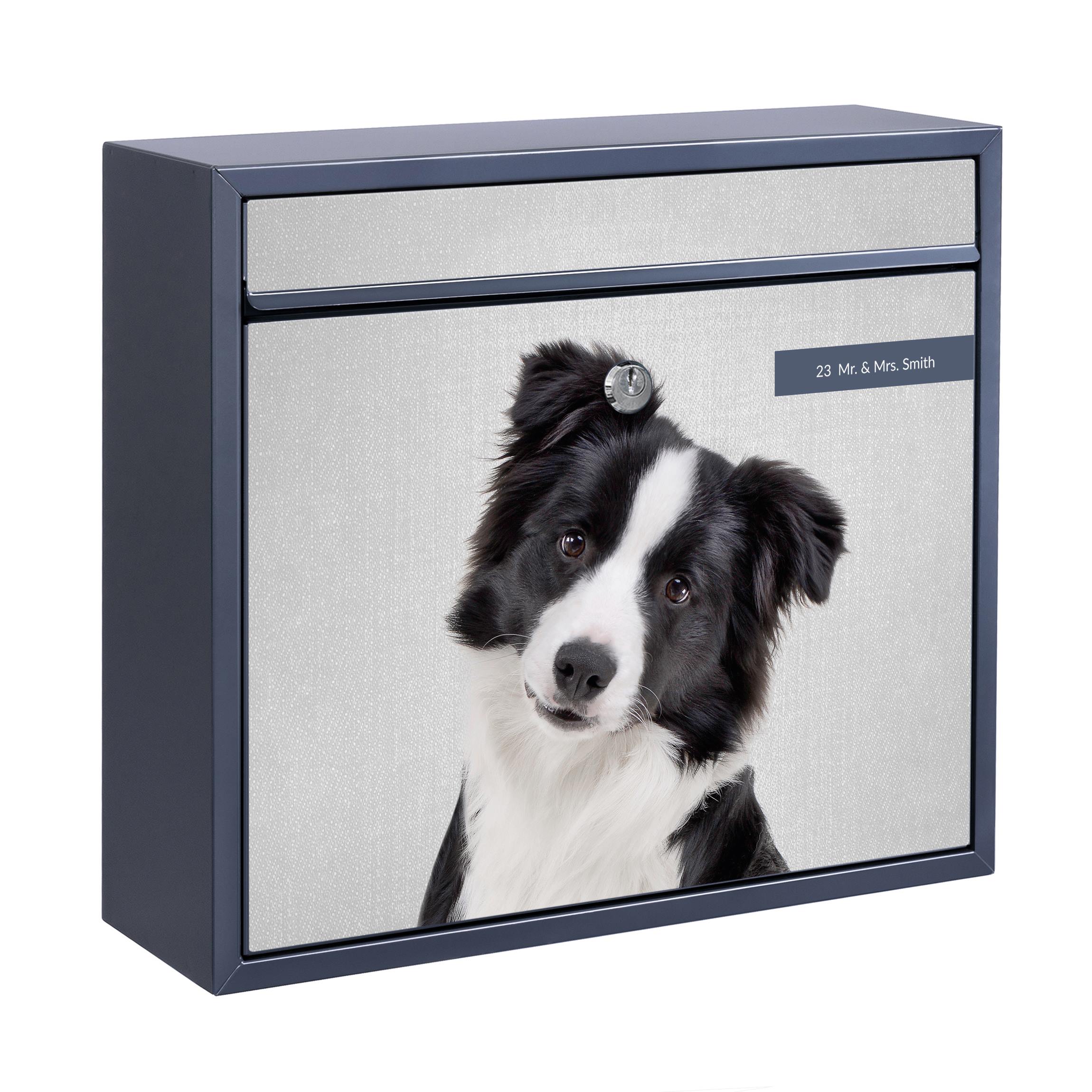 Briefkasten mit eigenem Text Bordercollie Benni günstig online kaufen