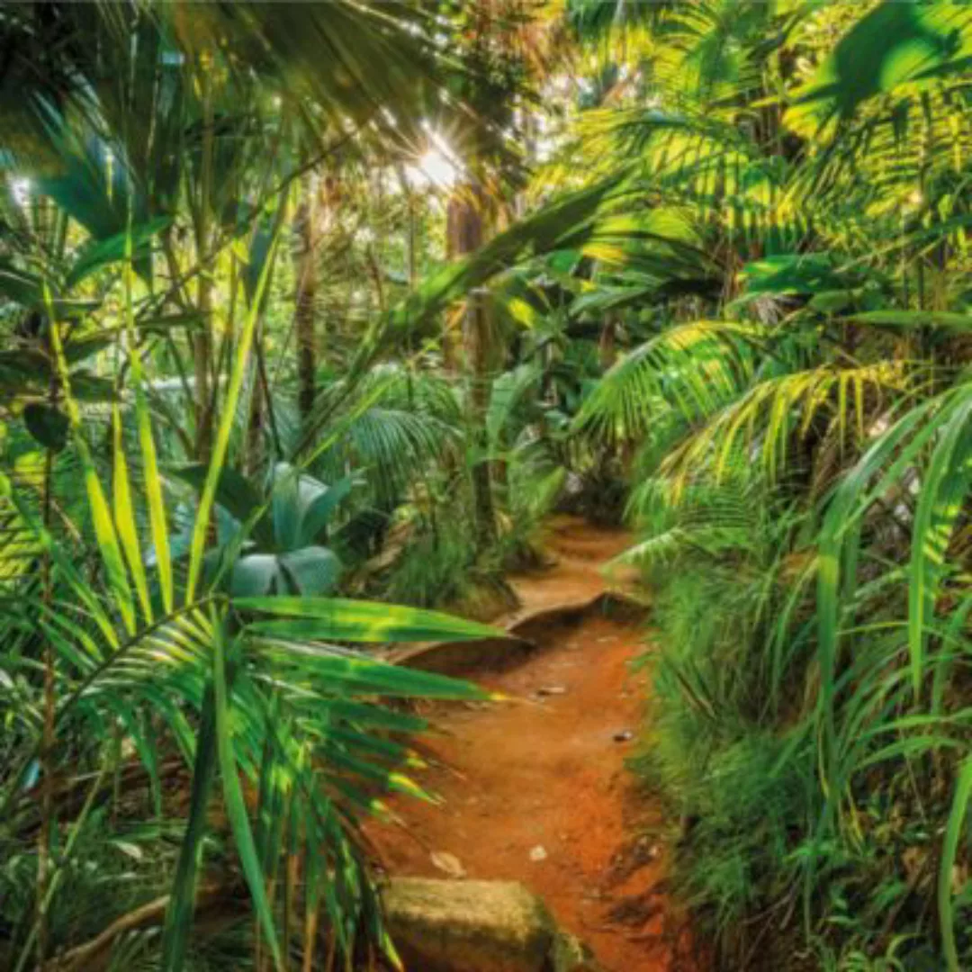 Komar Fototapete Jungle Trail 368 cm x 254 cm FSC® günstig online kaufen