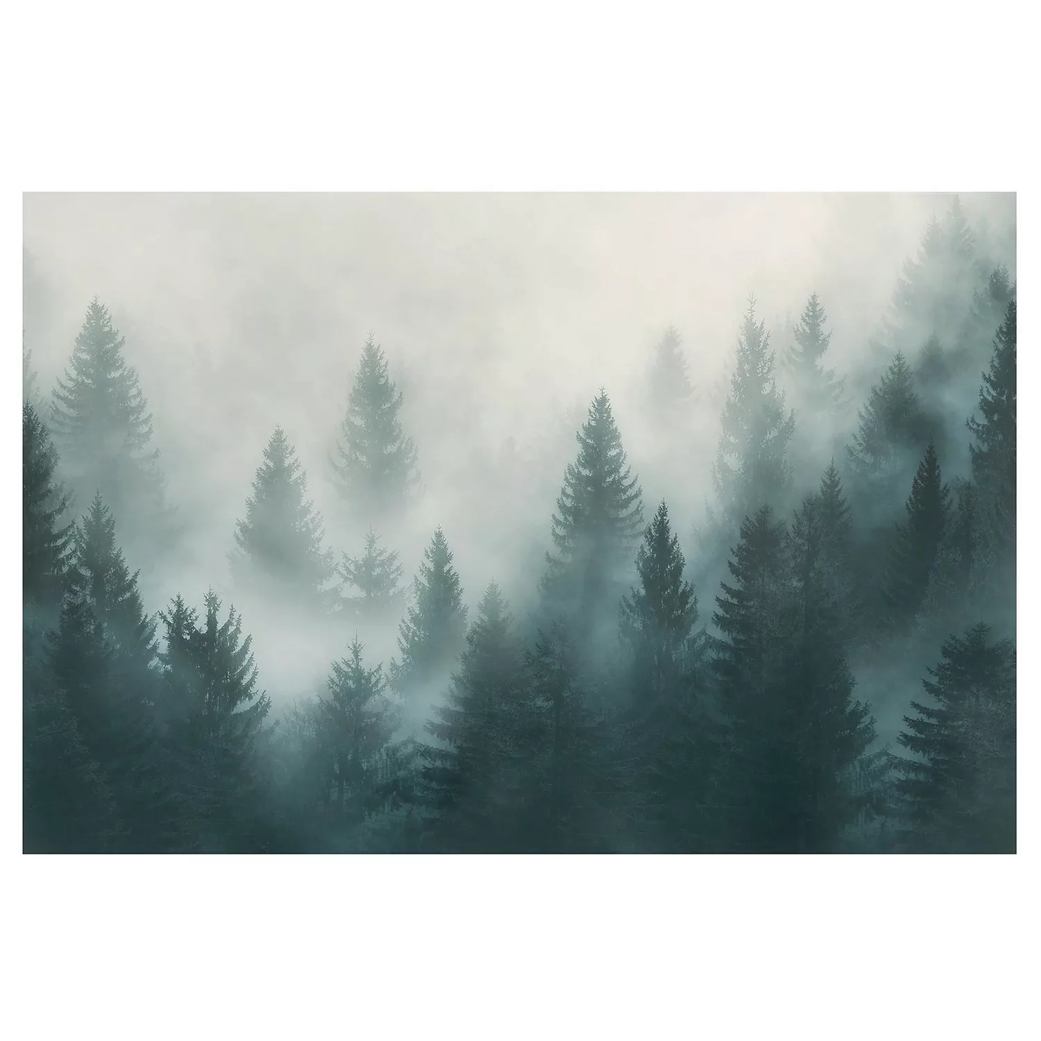 Bilderwelten Vliestapete Nadelwald im Nebel grün Gr. 384 x 255 günstig online kaufen
