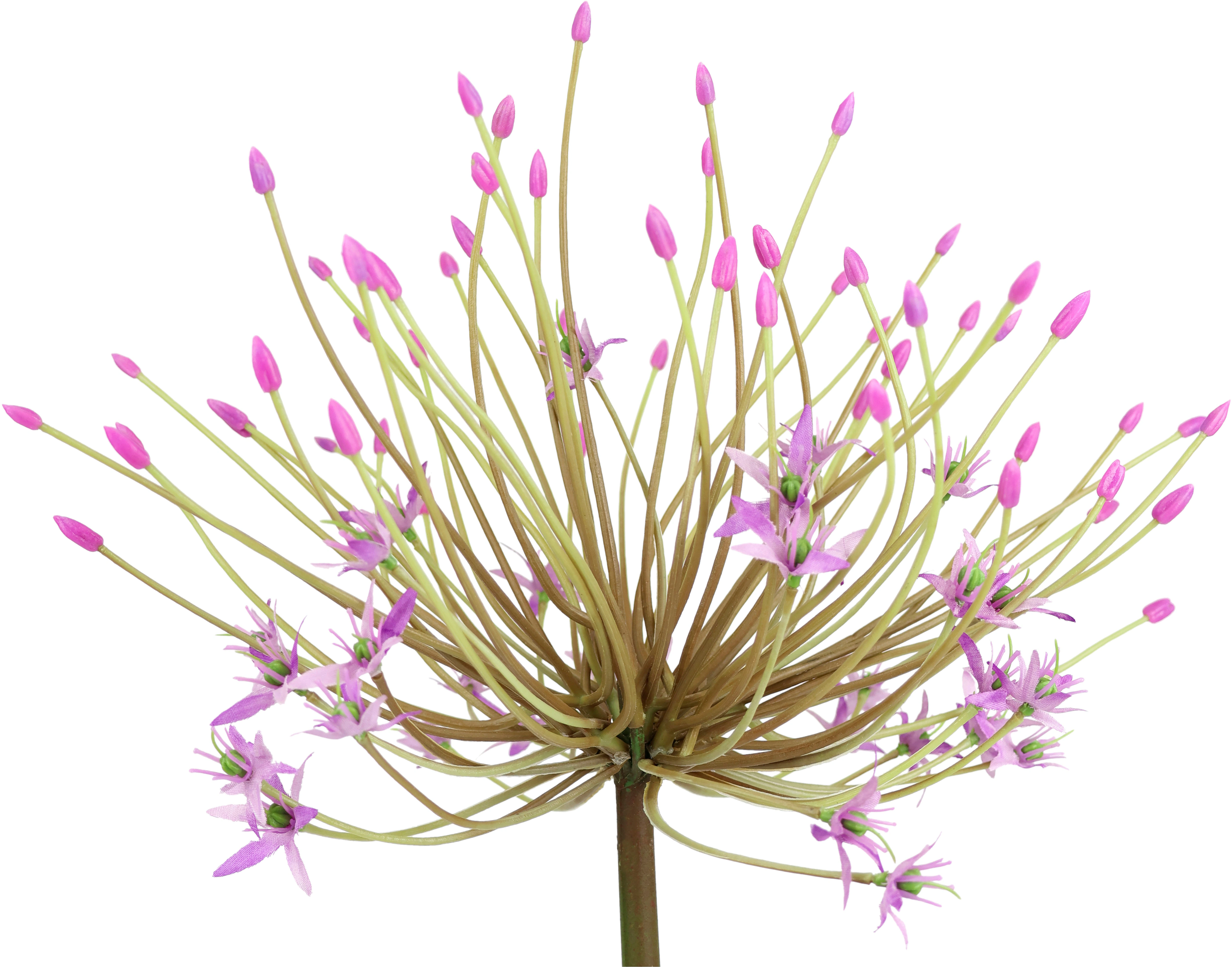 I.GE.A. Kunstblume "Allium Zierlauch", Stielblume künstliche Blumen, 2er Se günstig online kaufen