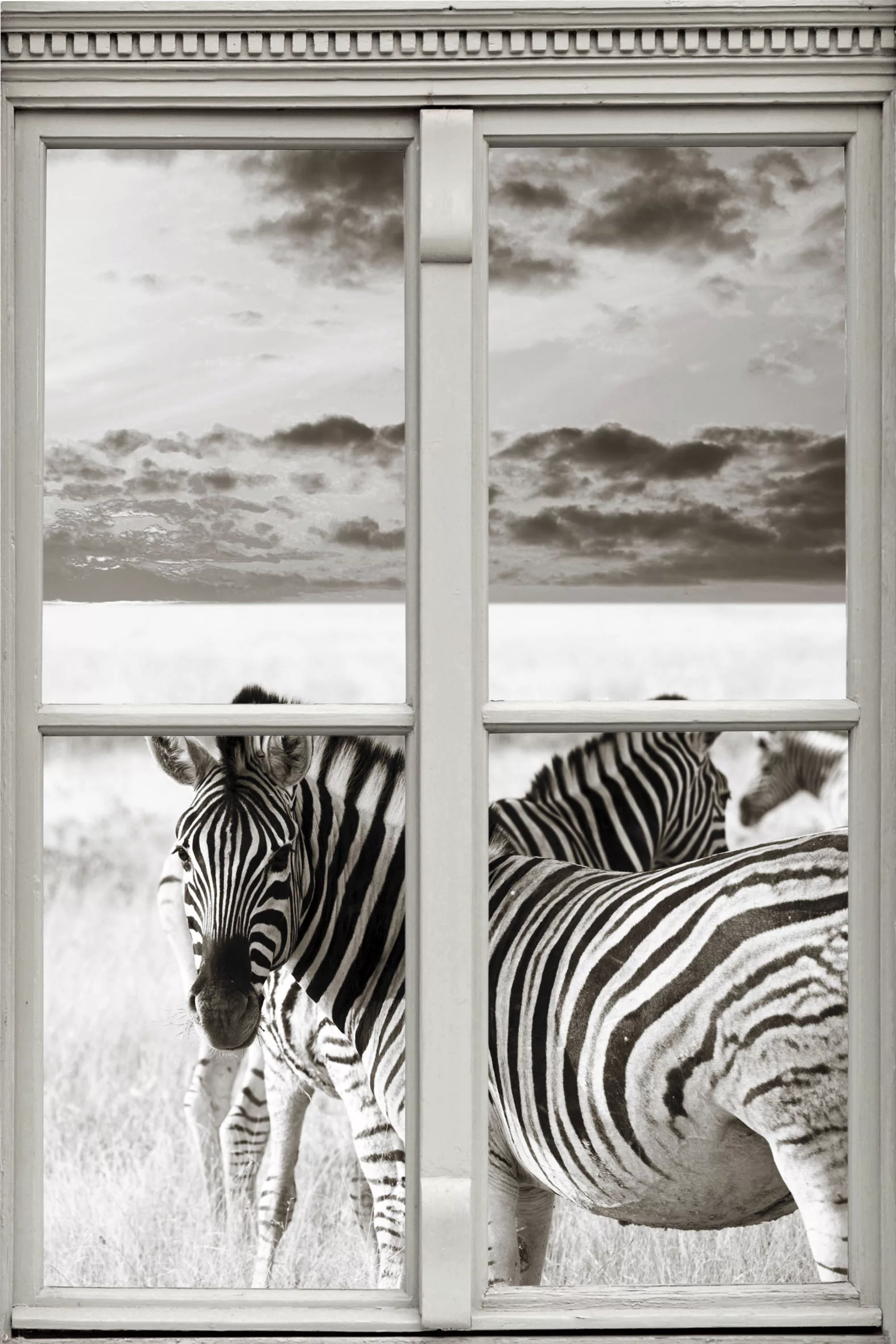 queence Wandsticker "Zebras" günstig online kaufen