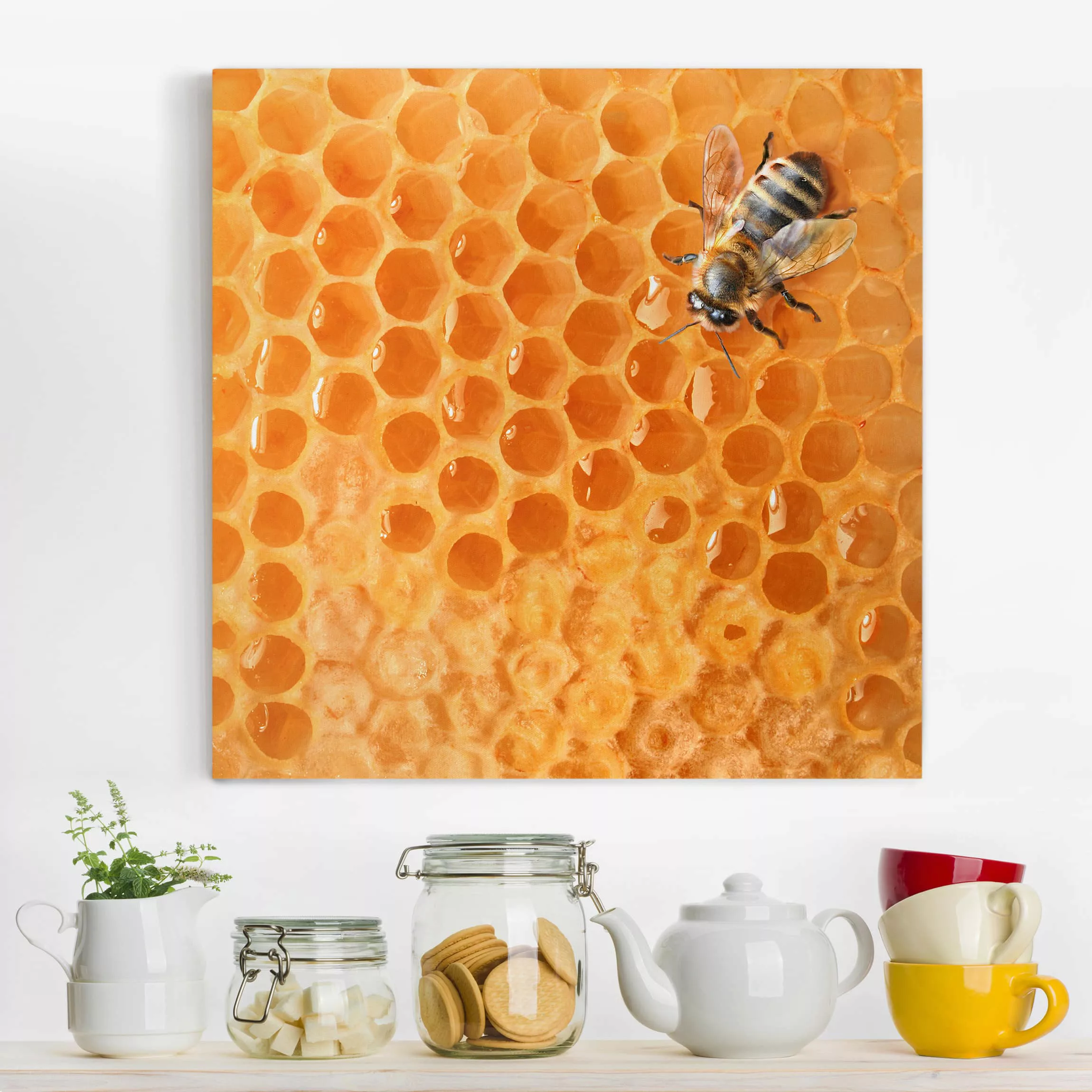 Leinwandbild Tiere - Quadrat Honey Bee günstig online kaufen