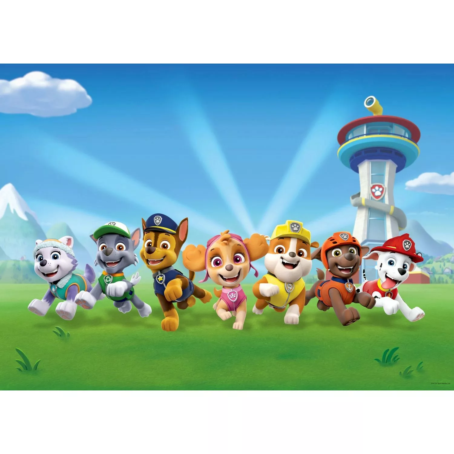 Sanders & Sanders Poster Paw Patrol Blau und Grün 160 x 110 cm 600674 günstig online kaufen