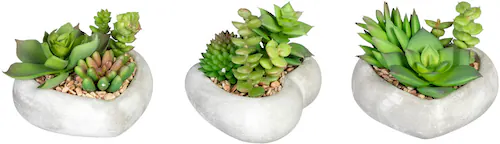 Creativ green Künstliche Zimmerpflanze »Sukkulentenarrangement«, in Zements günstig online kaufen