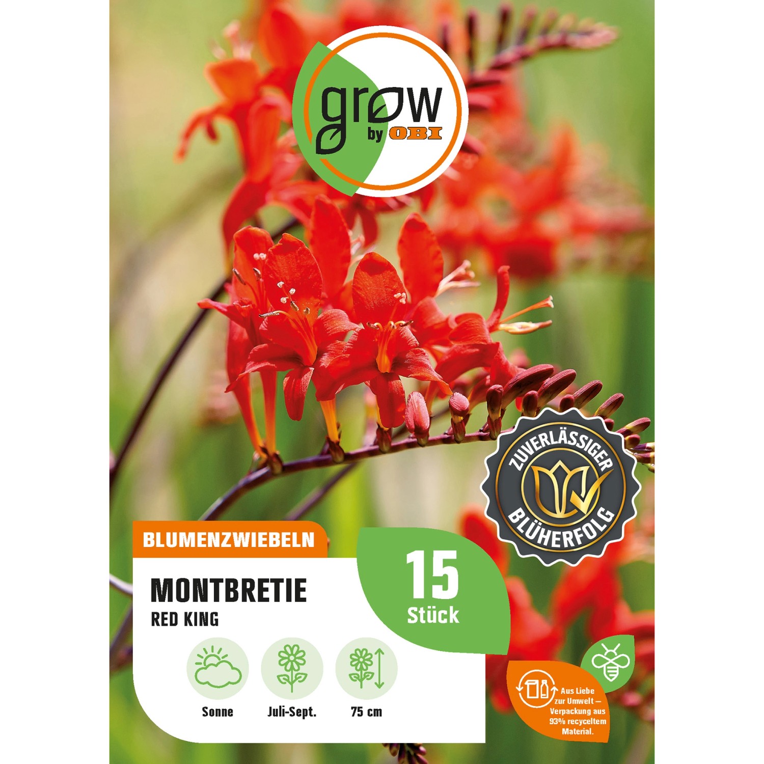 GROW by OBI Montbretia Red King Höhe ca. 75 cm Crocosmia crocosmiiflora günstig online kaufen