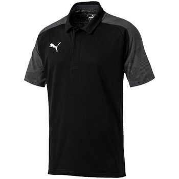 Puma  T-Shirts & Poloshirts Sport CUP Sideline Polo 656047 003 günstig online kaufen