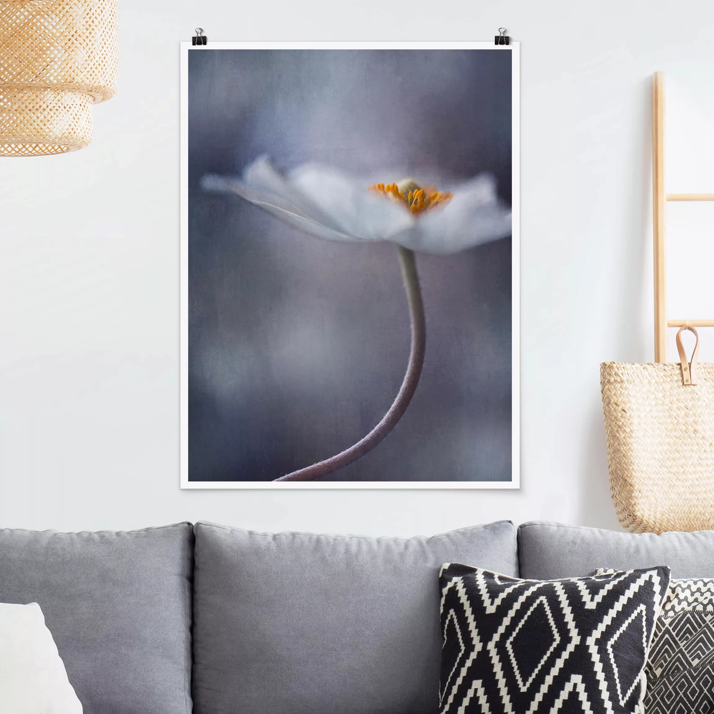 Poster Blumen - Hochformat Weiße Anemonenblüte günstig online kaufen