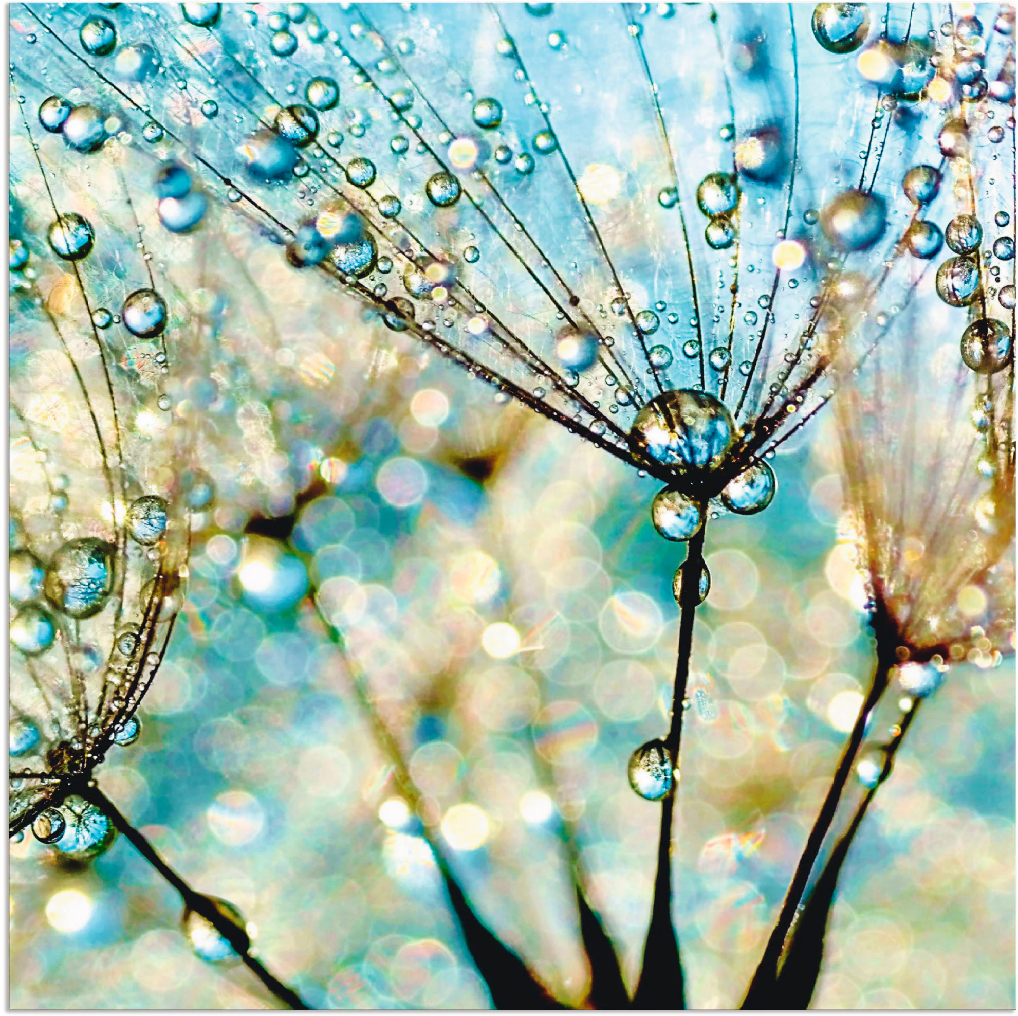 Artland Wandbild "Pusteblume Blaue Diamanten", Blumen, (1 St.), als Alubild günstig online kaufen