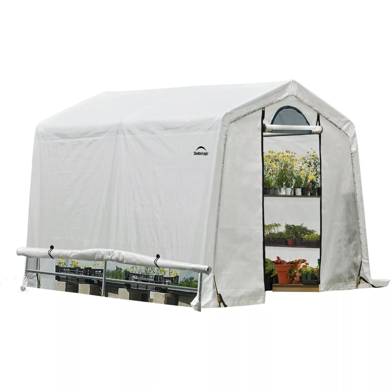 ShelterLogic Foliengewächshaus 5,76 m² 240 cm x 240 cm günstig online kaufen