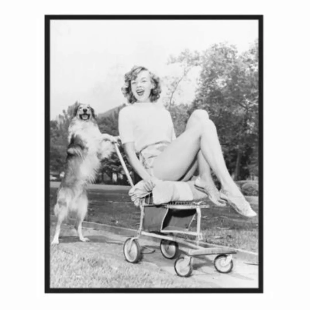 Any Image Wandbild Mein Hund schwarz Gr. 60 x 80 günstig online kaufen