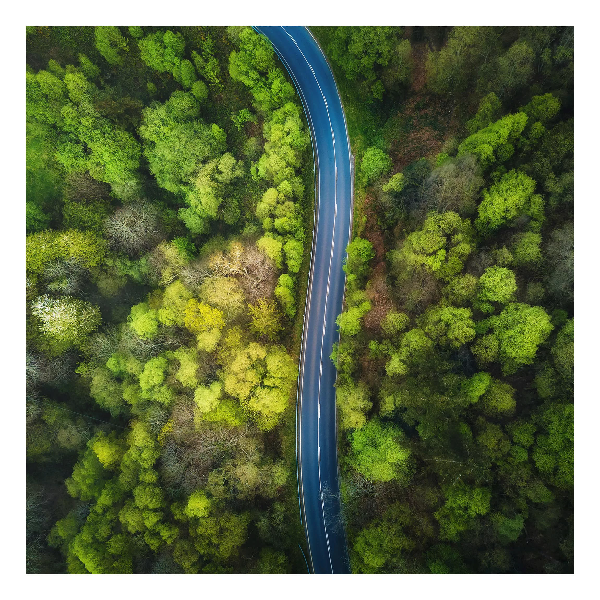 Alu-Dibond Bild Natur & Landschaft - Quadrat Luftbild - Asphaltstraße im Wa günstig online kaufen