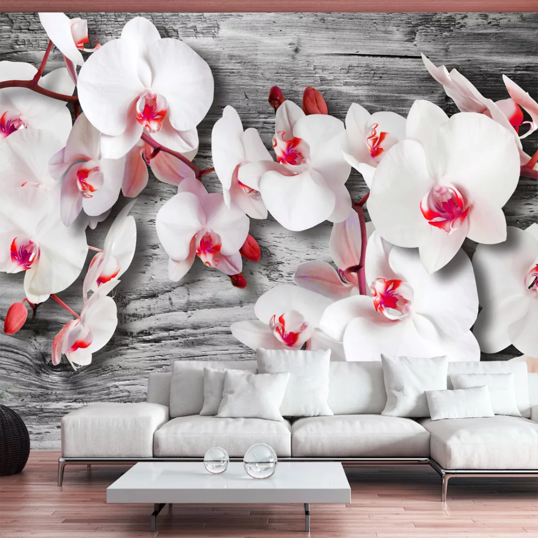 Fototapete - Callous orchids günstig online kaufen