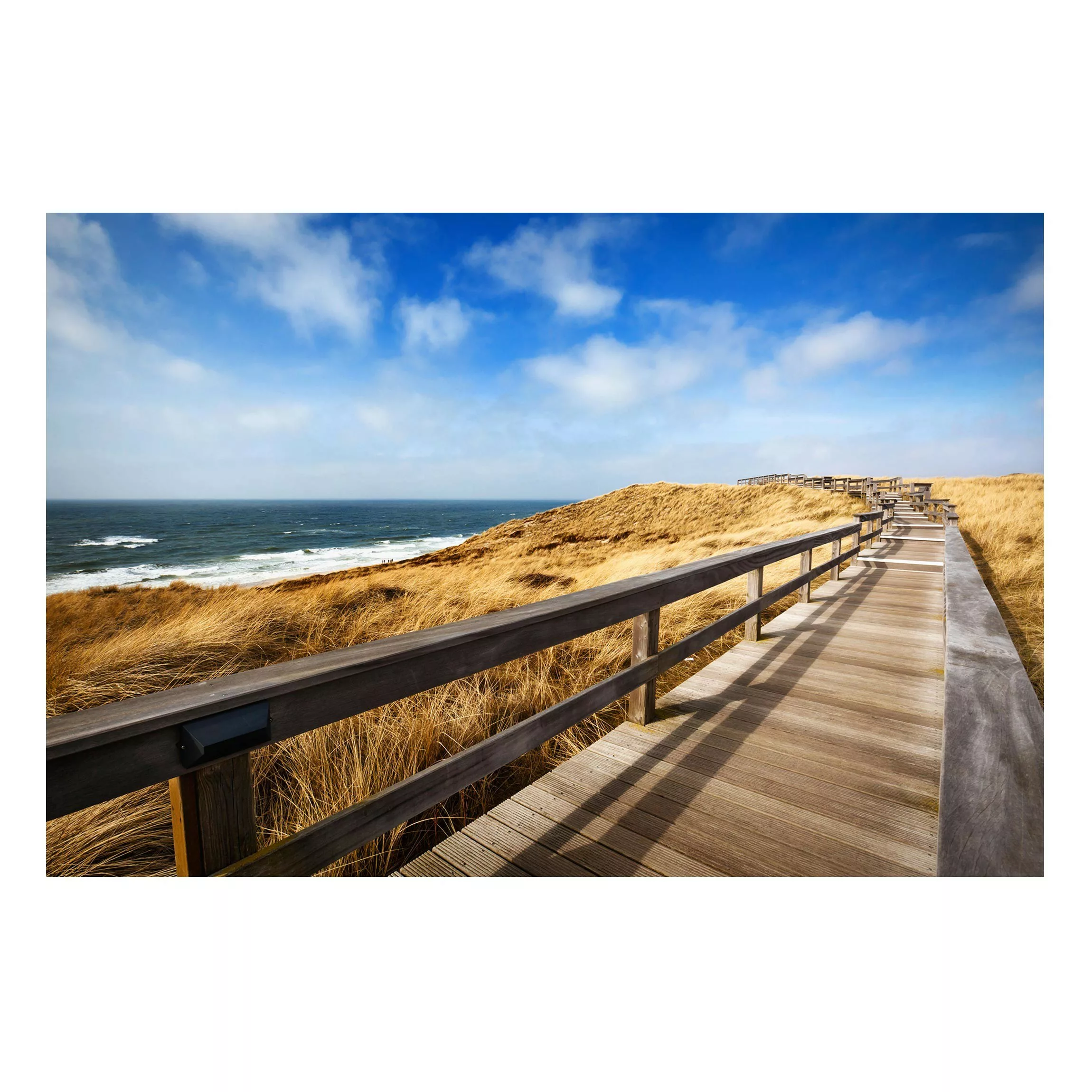 Magnettafel Strand - Querformat 3:2 Dünenweg an der Nordsee auf Sylt günstig online kaufen