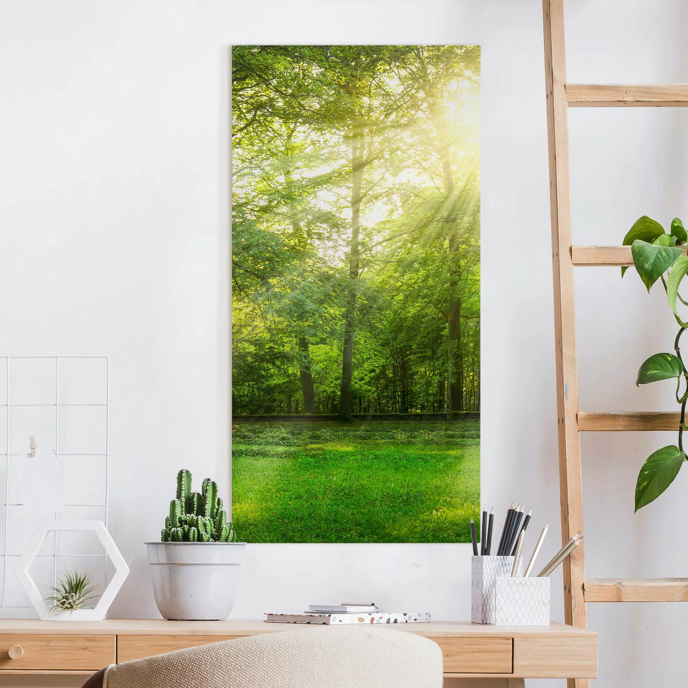 Leinwandbild Spaziergang im Wald günstig online kaufen