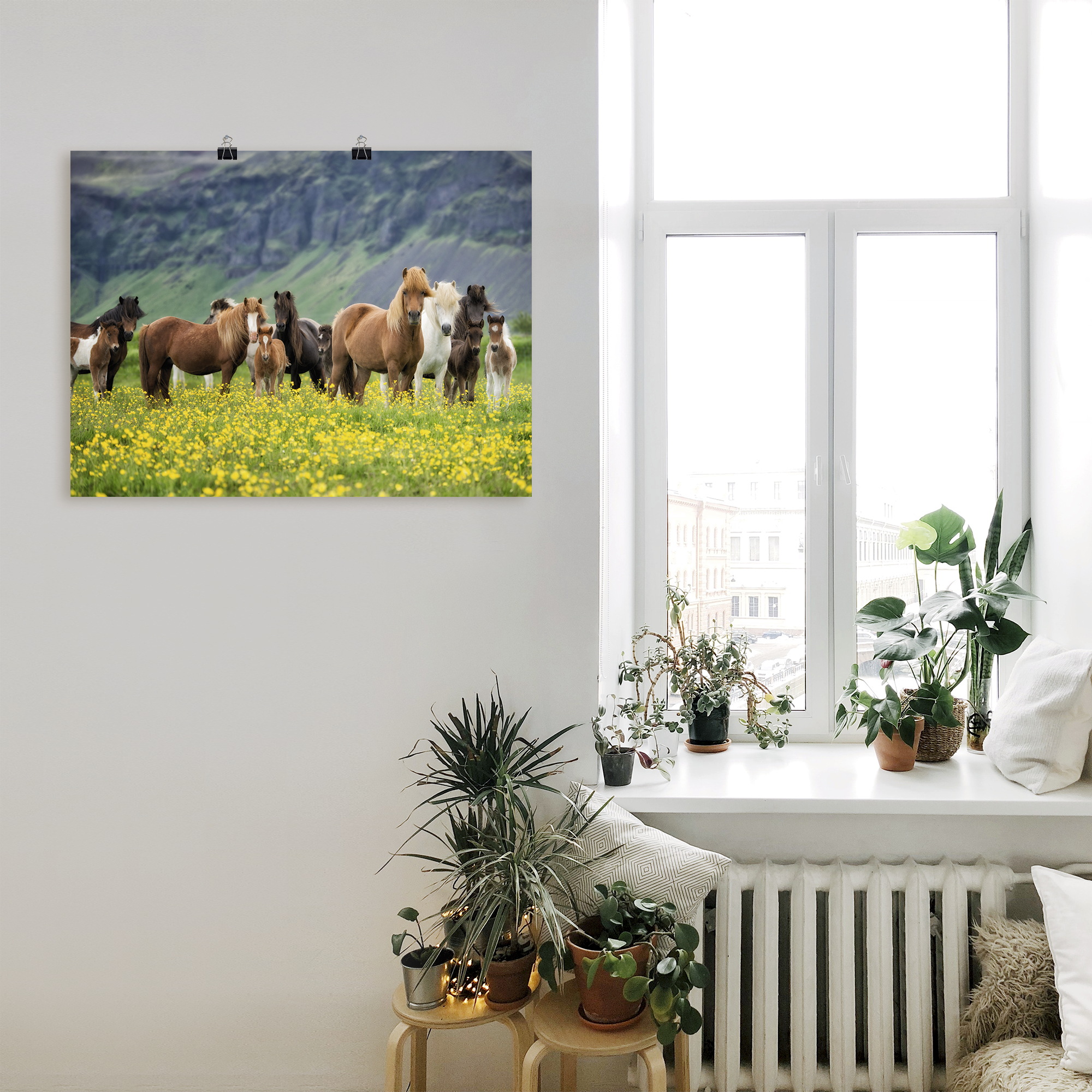 Artland Wandbild "Isländische Pferde VII", Haustiere, (1 St.), als Leinwand günstig online kaufen