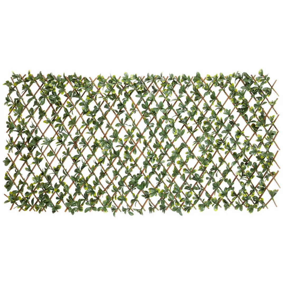 Garden Deluxe Dekozaun Bayberry grün B/H/L: ca. 100x0,3x200 cm günstig online kaufen