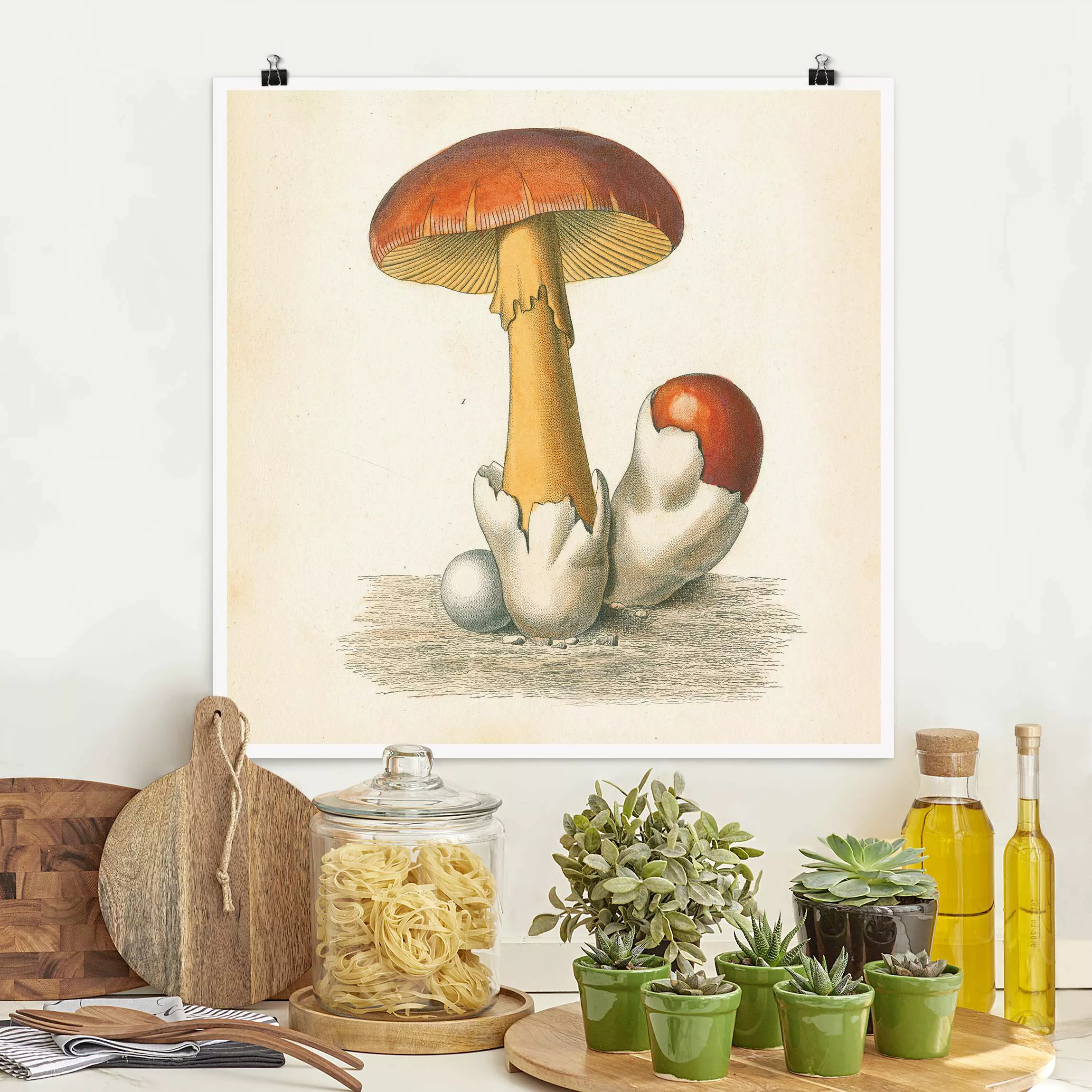 Poster Französische Pilze günstig online kaufen