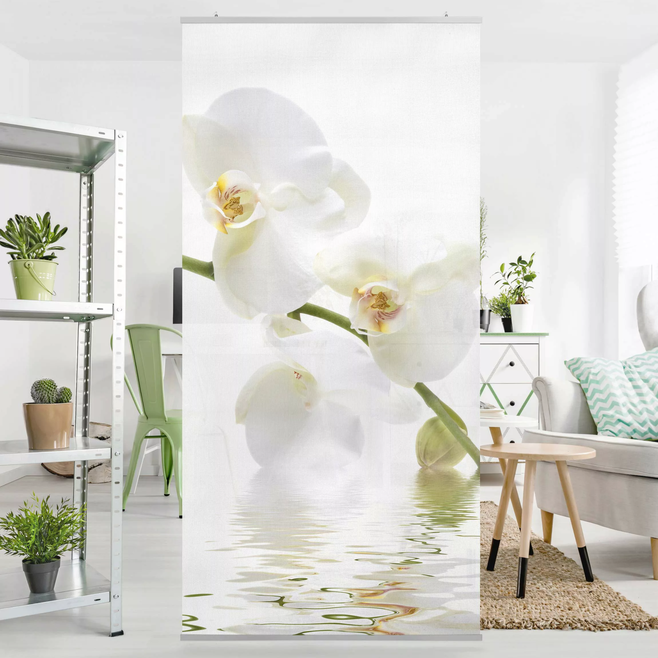 Raumteiler Blumen White Orchid Waters günstig online kaufen