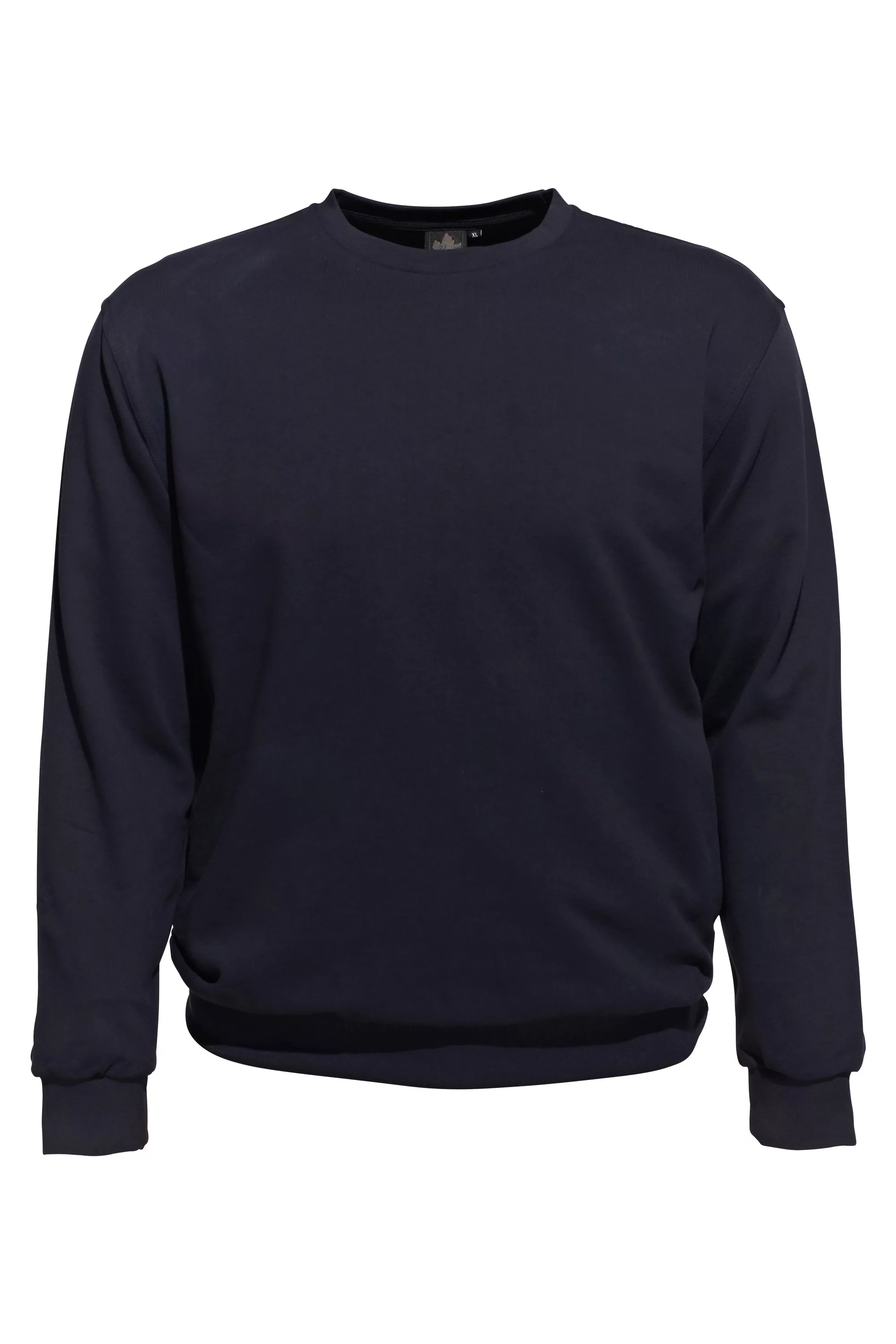 AHORN SPORTSWEAR Sweatshirt, im schlichten Design günstig online kaufen