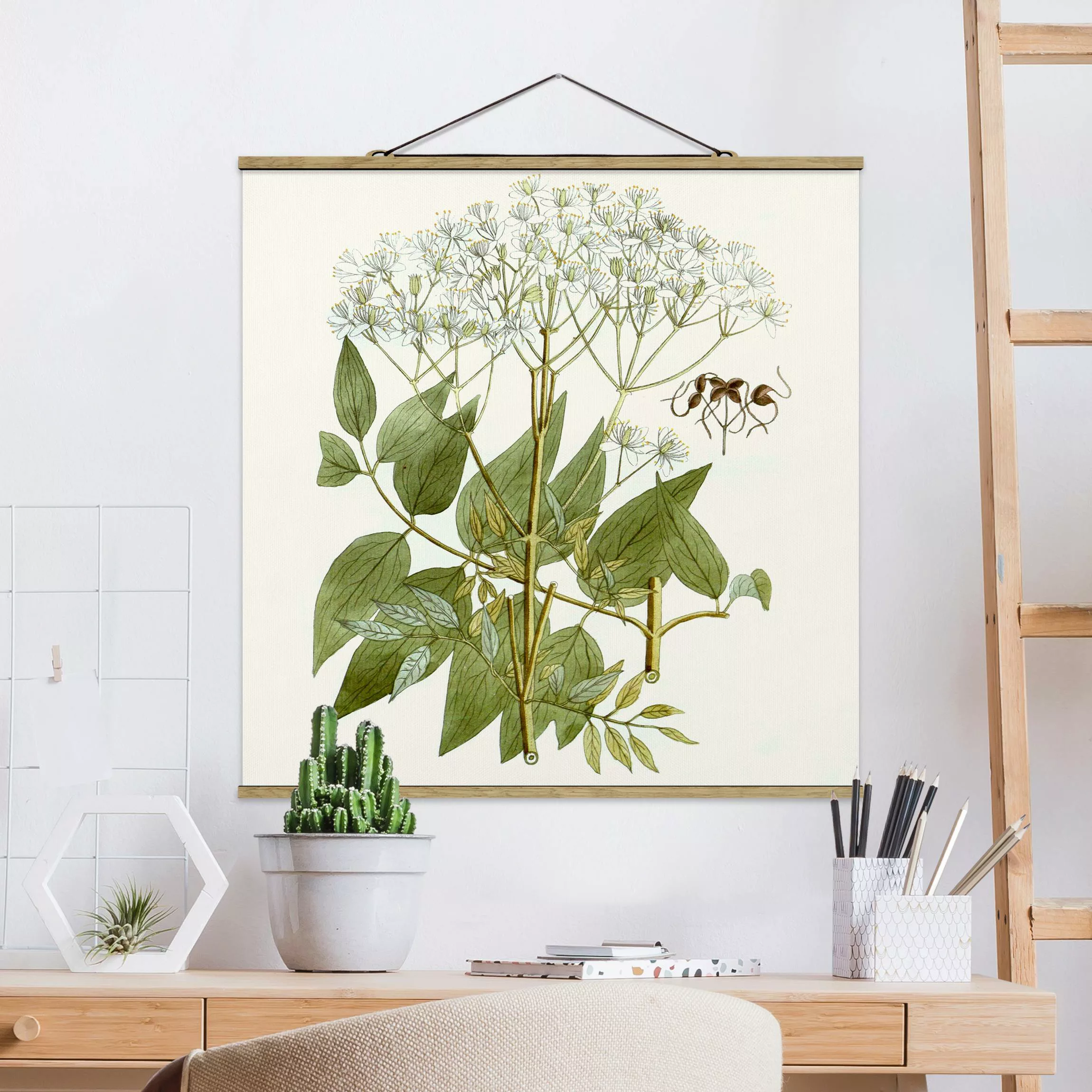 Stoffbild Blumen mit Posterleisten - Quadrat Wildkräuter Schautafel V günstig online kaufen