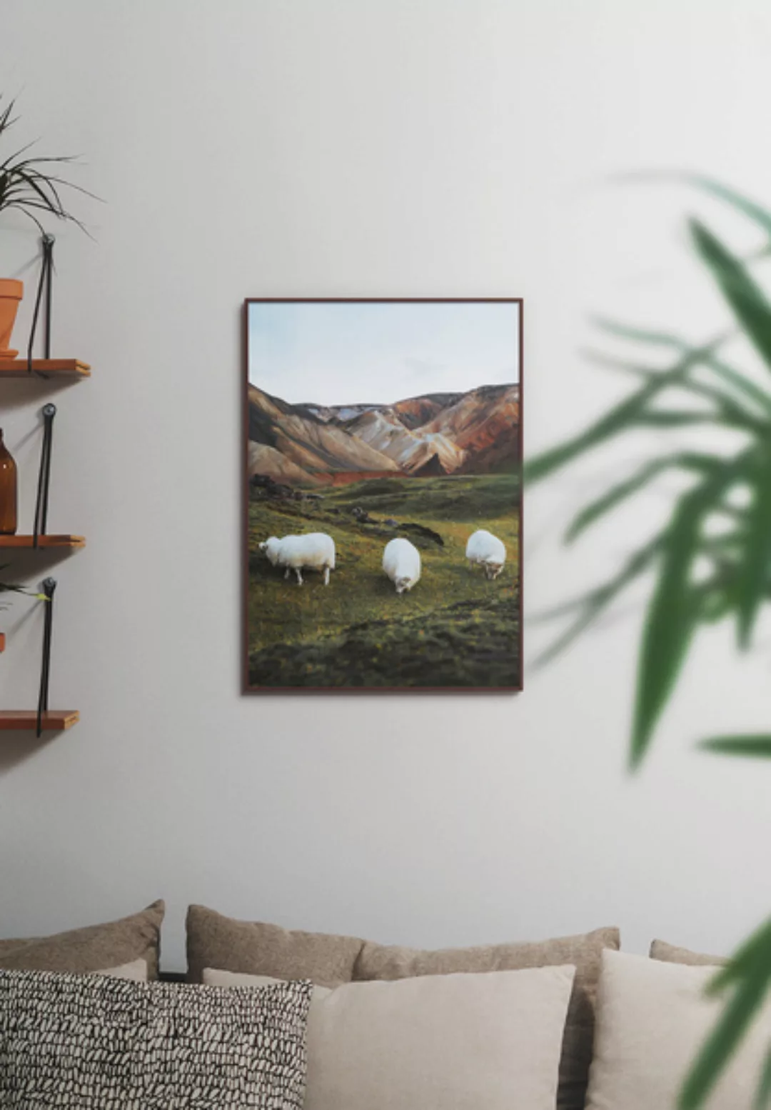 Poster Nature Sheep günstig online kaufen