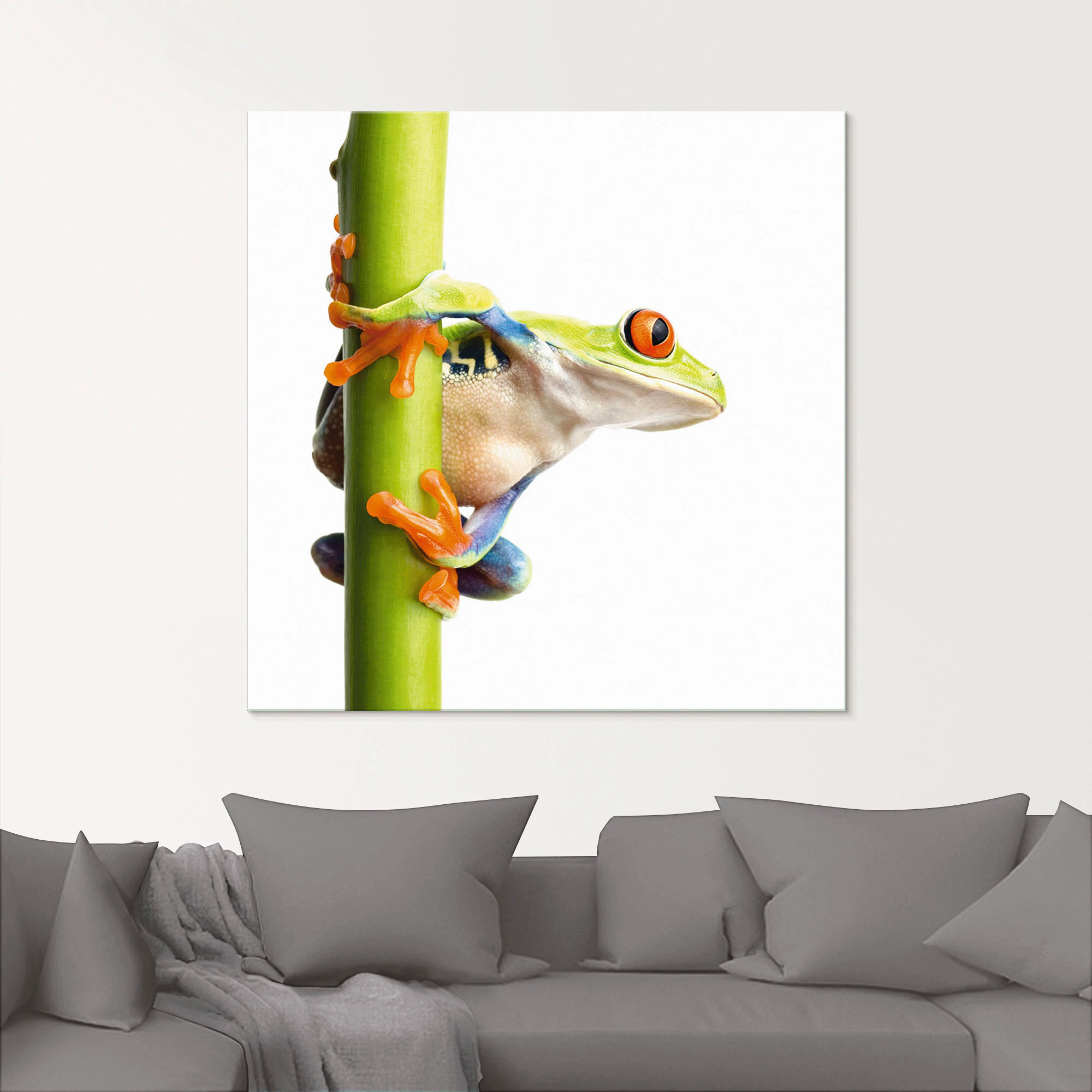 Artland Glasbild "Frosch umfasst einen Pflanzenstengel", Wassertiere, (1 St günstig online kaufen