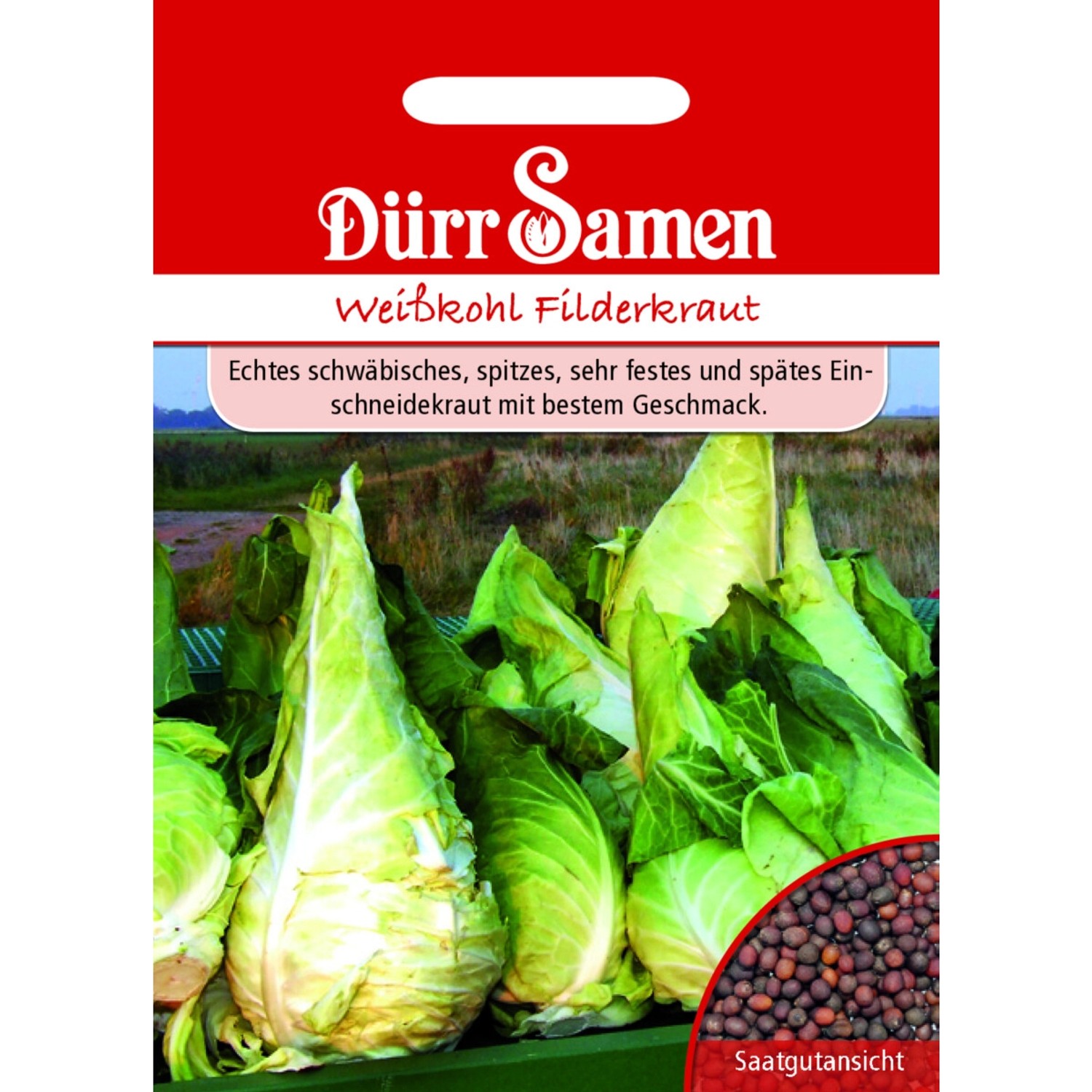 Dürr Samen Weißkohl Spitzkraut Saatgut günstig online kaufen