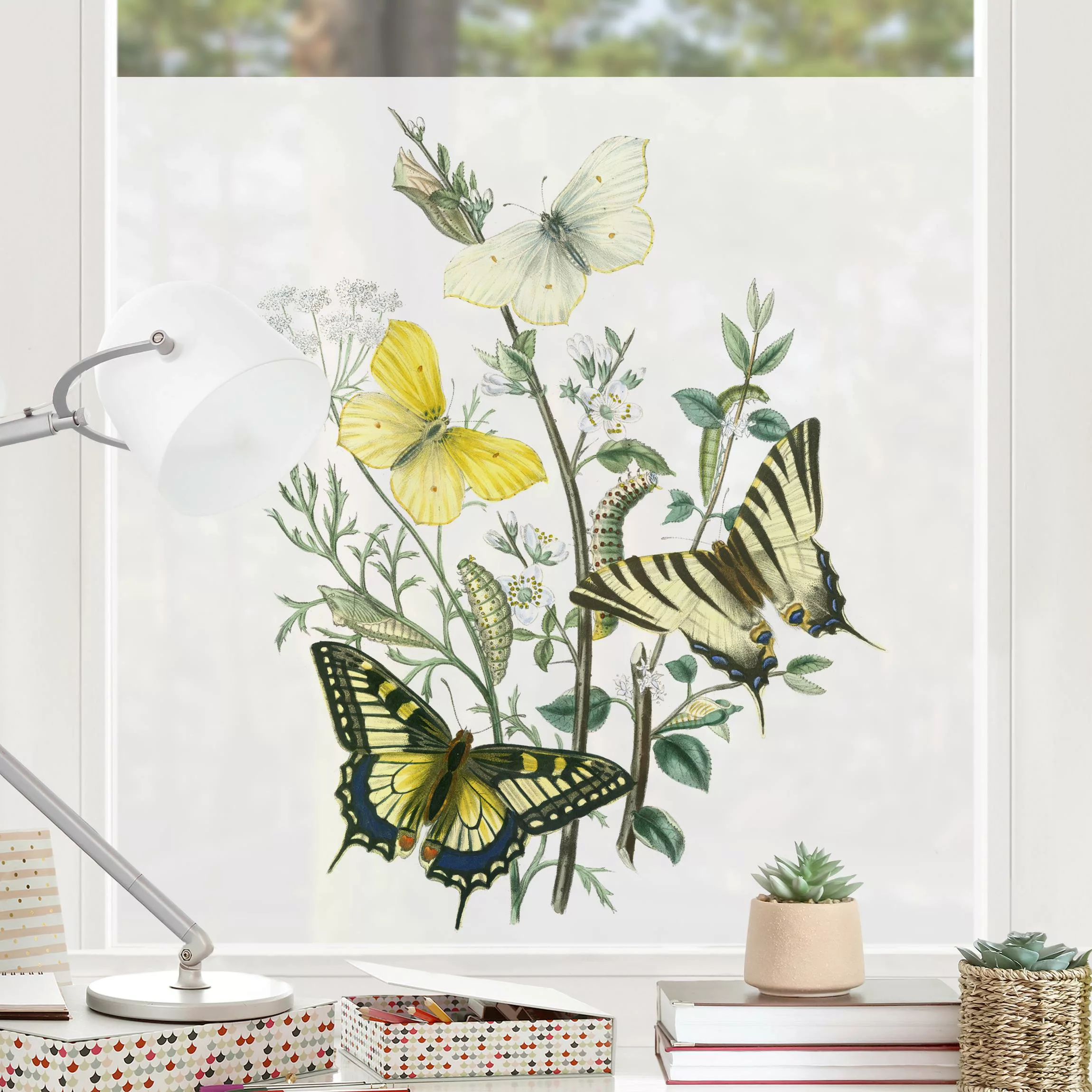 Fensterfolie Britische Schmetterlinge III günstig online kaufen