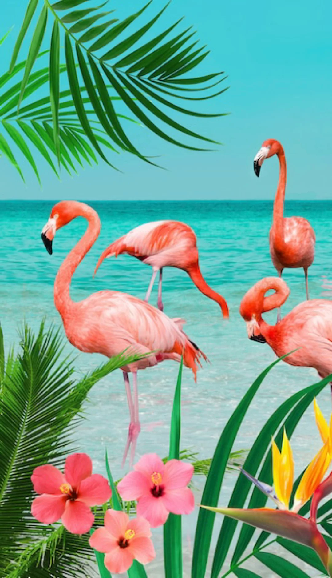good morning Strandtuch »Flamingo«, (1 St.) günstig online kaufen