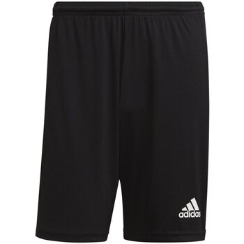 adidas  Shorts Sport Squadra 21 GN5776 günstig online kaufen