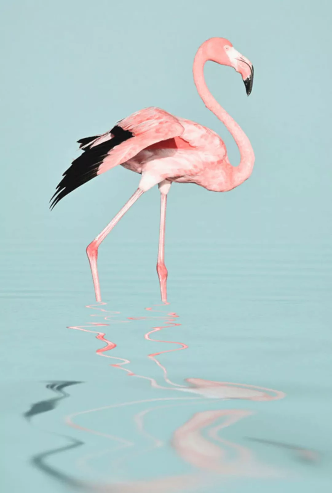 A.S. Création Leinwandbild "Flamingo Water - Wandbild Blau Rosa Grau Keilra günstig online kaufen