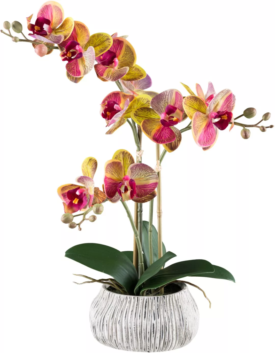 Creativ green Kunstorchidee "Orchidee Phalaenopsis", mit außergewöhnlicher günstig online kaufen