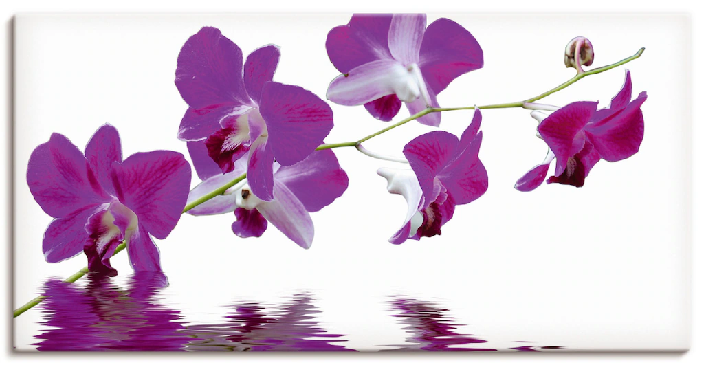 Artland Leinwandbild "Violette Orchideen", Blumen, (1 St.), auf Keilrahmen günstig online kaufen