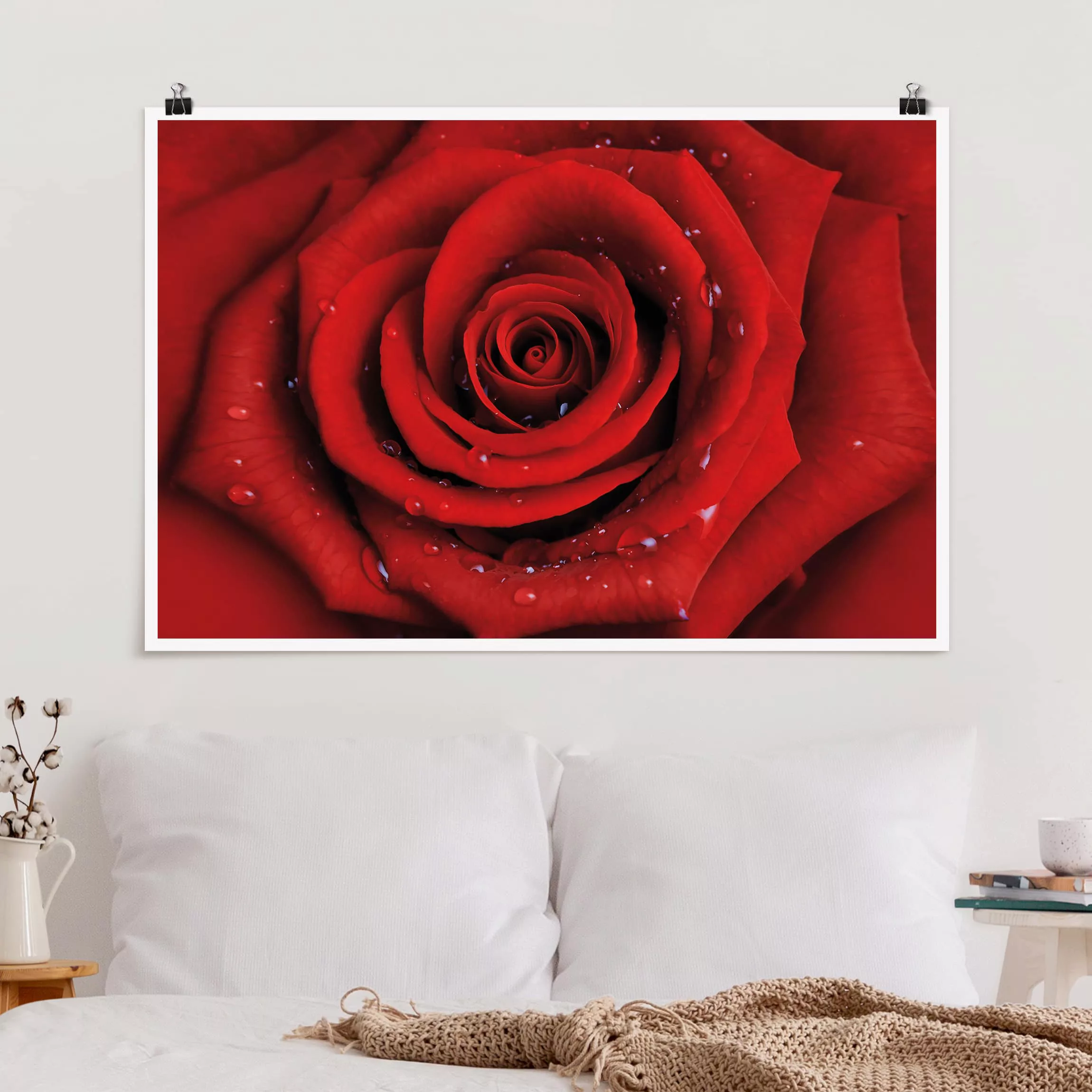 Poster Blumen - Querformat Rote Rose mit Wassertropfen günstig online kaufen