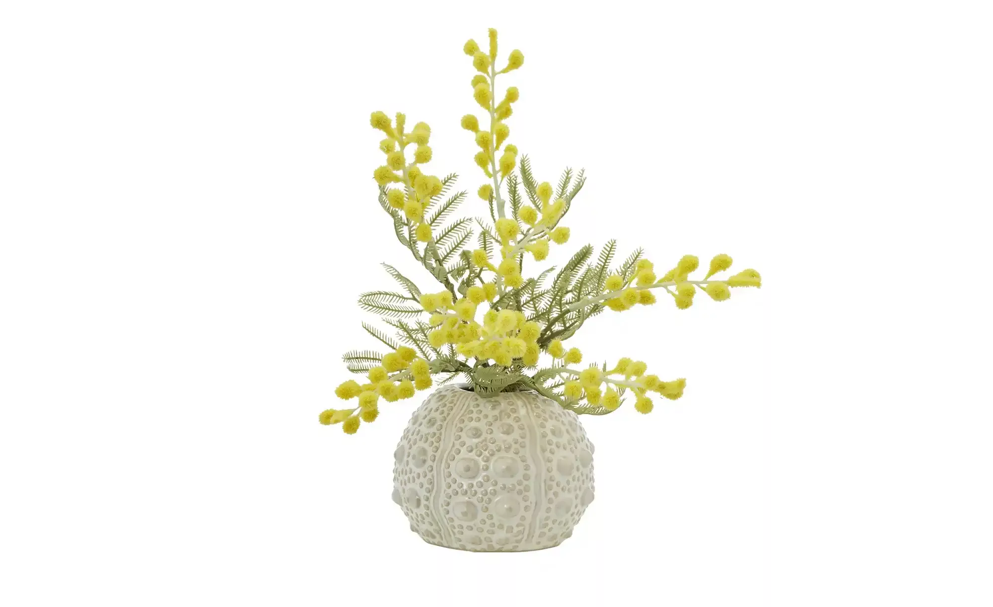 Vase  Seeigel ¦ beige ¦ Porzellan ¦ Maße (cm): H: 8,5  Ø: 11 Accessoires > günstig online kaufen