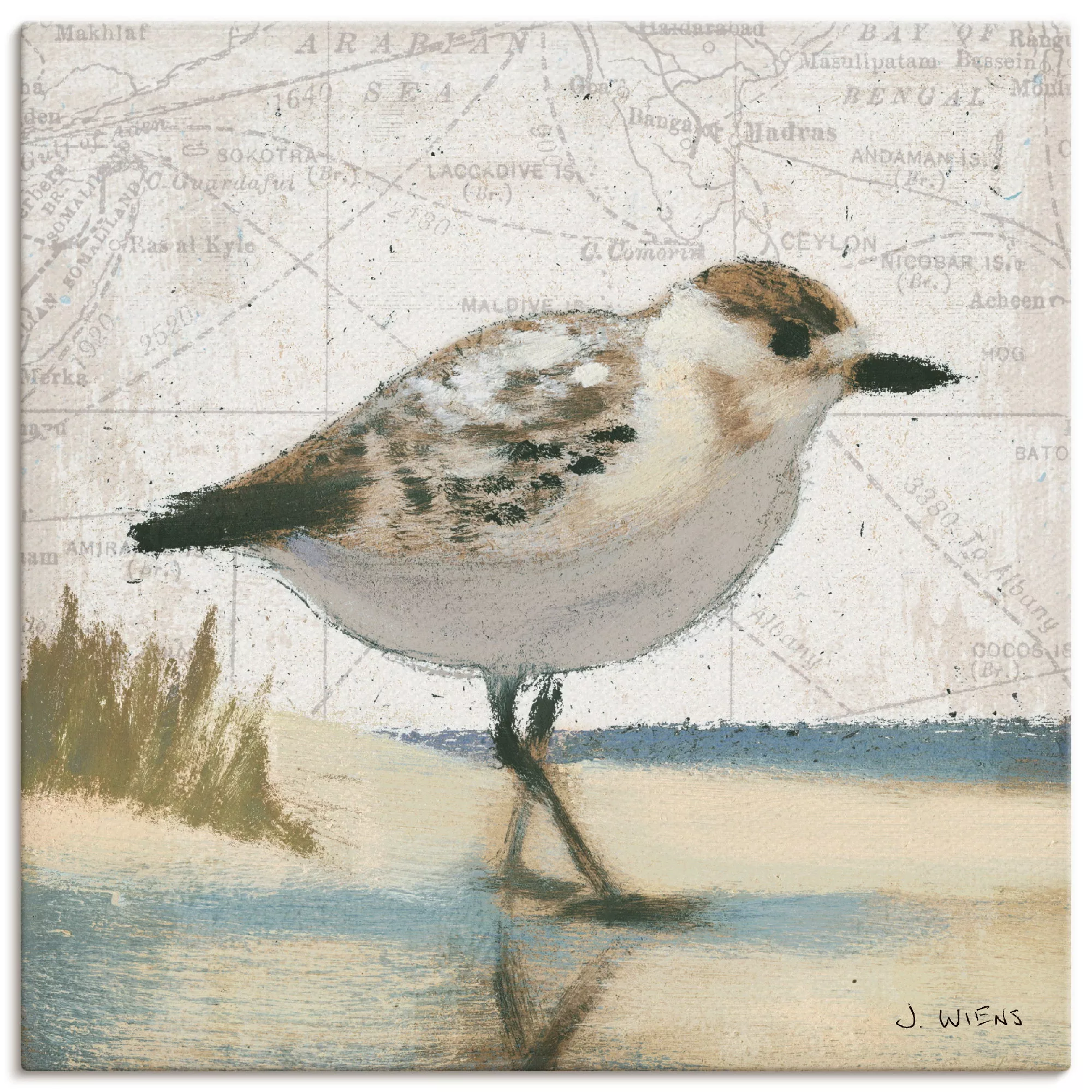 Artland Wandbild "Möwe I", Vögel, (1 St.), als Leinwandbild, Wandaufkleber günstig online kaufen
