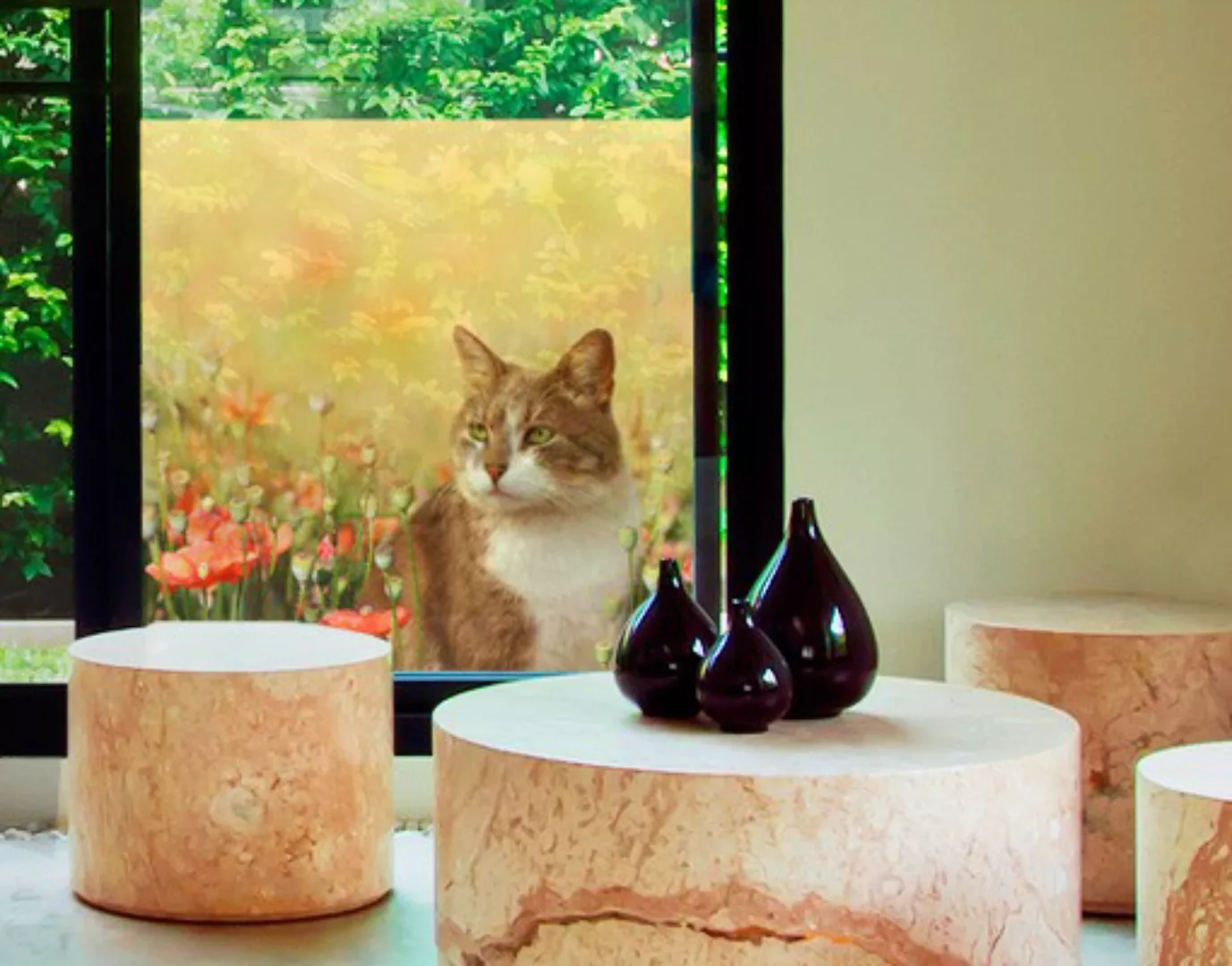 Fensterfolie Katze im Mohnfeld günstig online kaufen