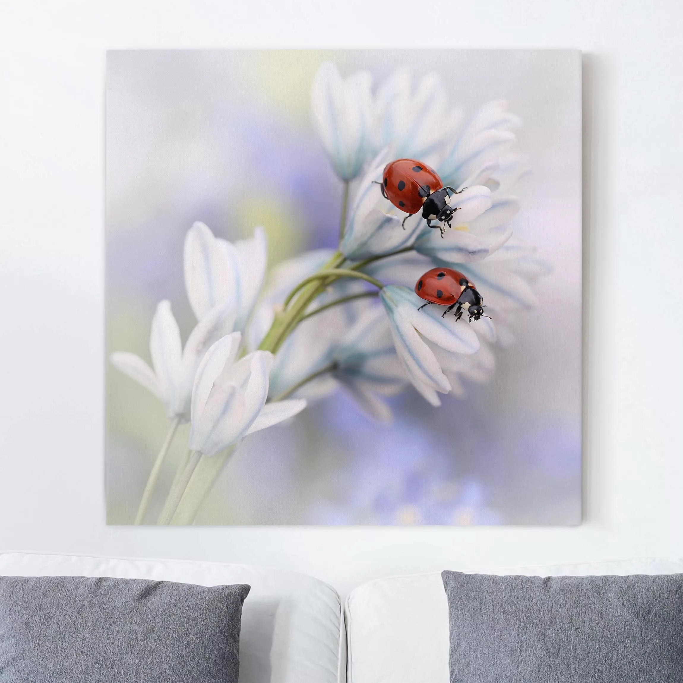 Leinwandbild Blumen - Quadrat Marienkäfer Paar günstig online kaufen