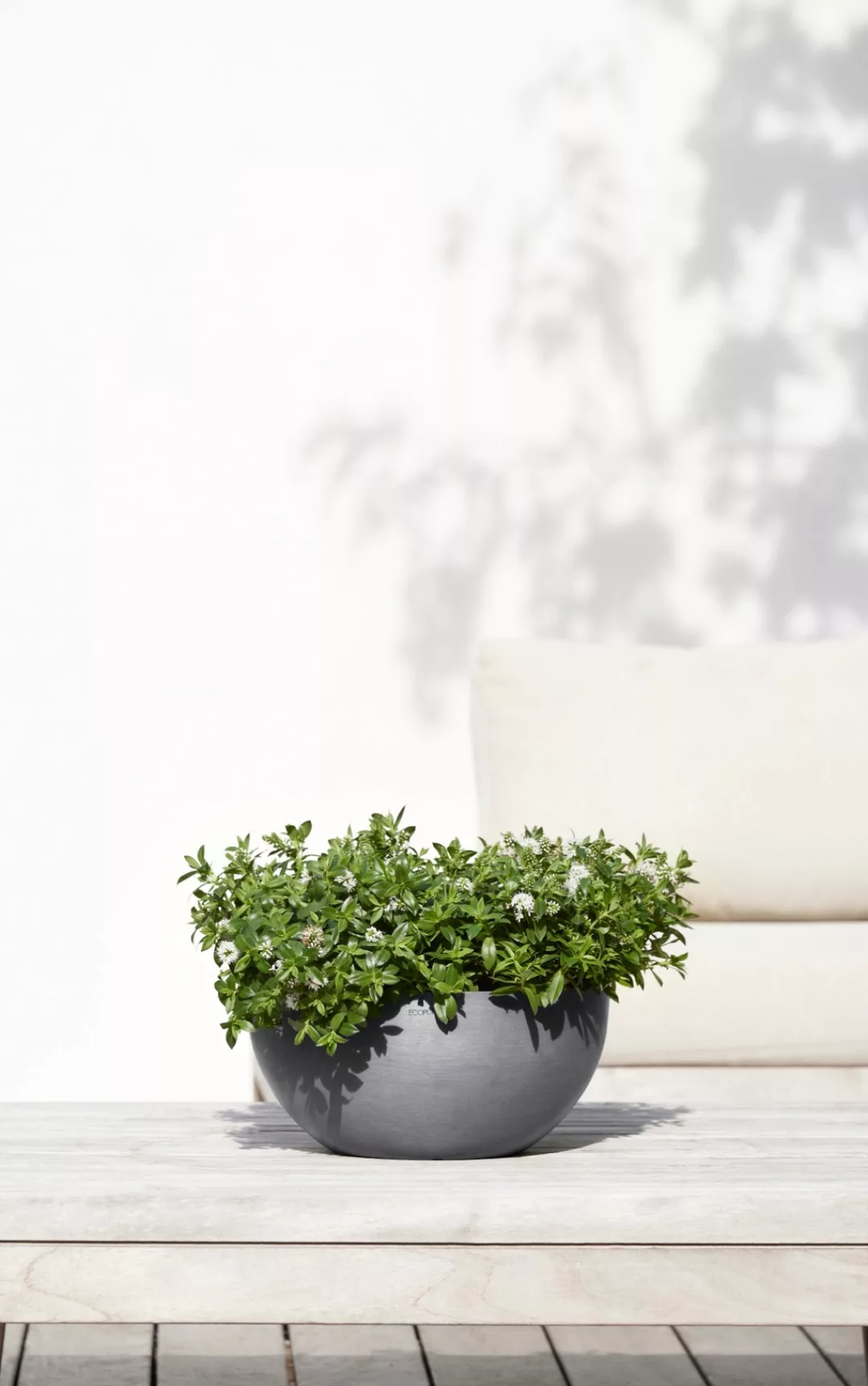 Ecopots Pflanzschale Brüssel Ø 30 cm Grau günstig online kaufen