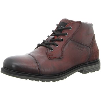Bugatti  Herrenstiefel 325-A0U3U-3500-3100 günstig online kaufen
